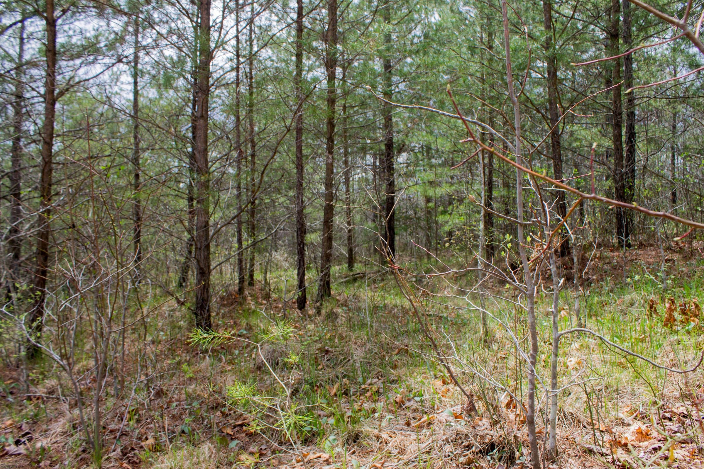 Hidden Hills Tract 27 photo 11