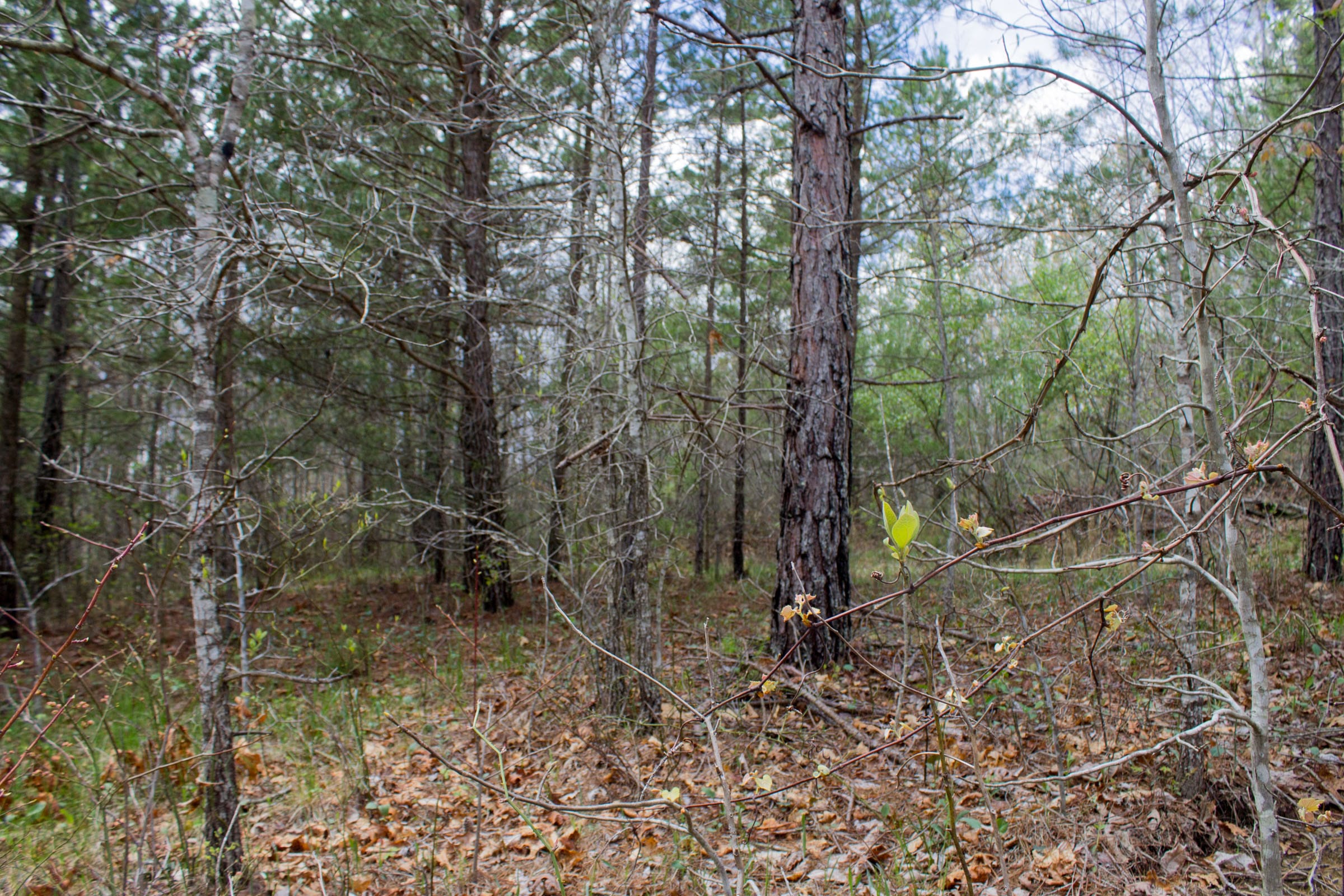 Hidden Hills Tract 27 photo 12