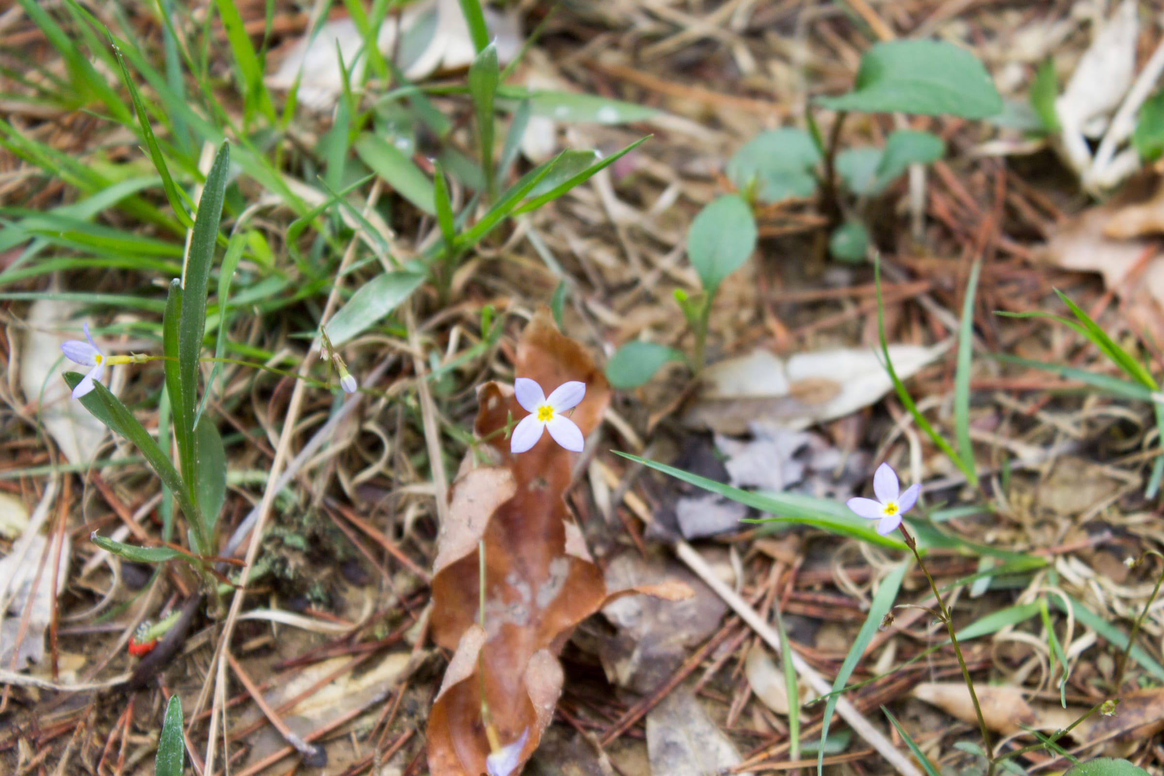 Hidden Hills Tract 27 photo 13