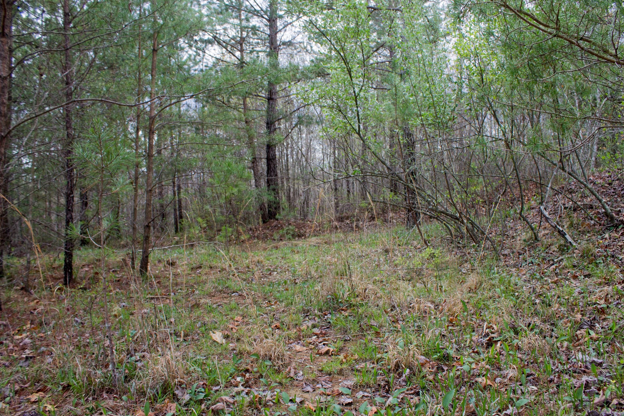 Hidden Hills Tract 27 photo 14