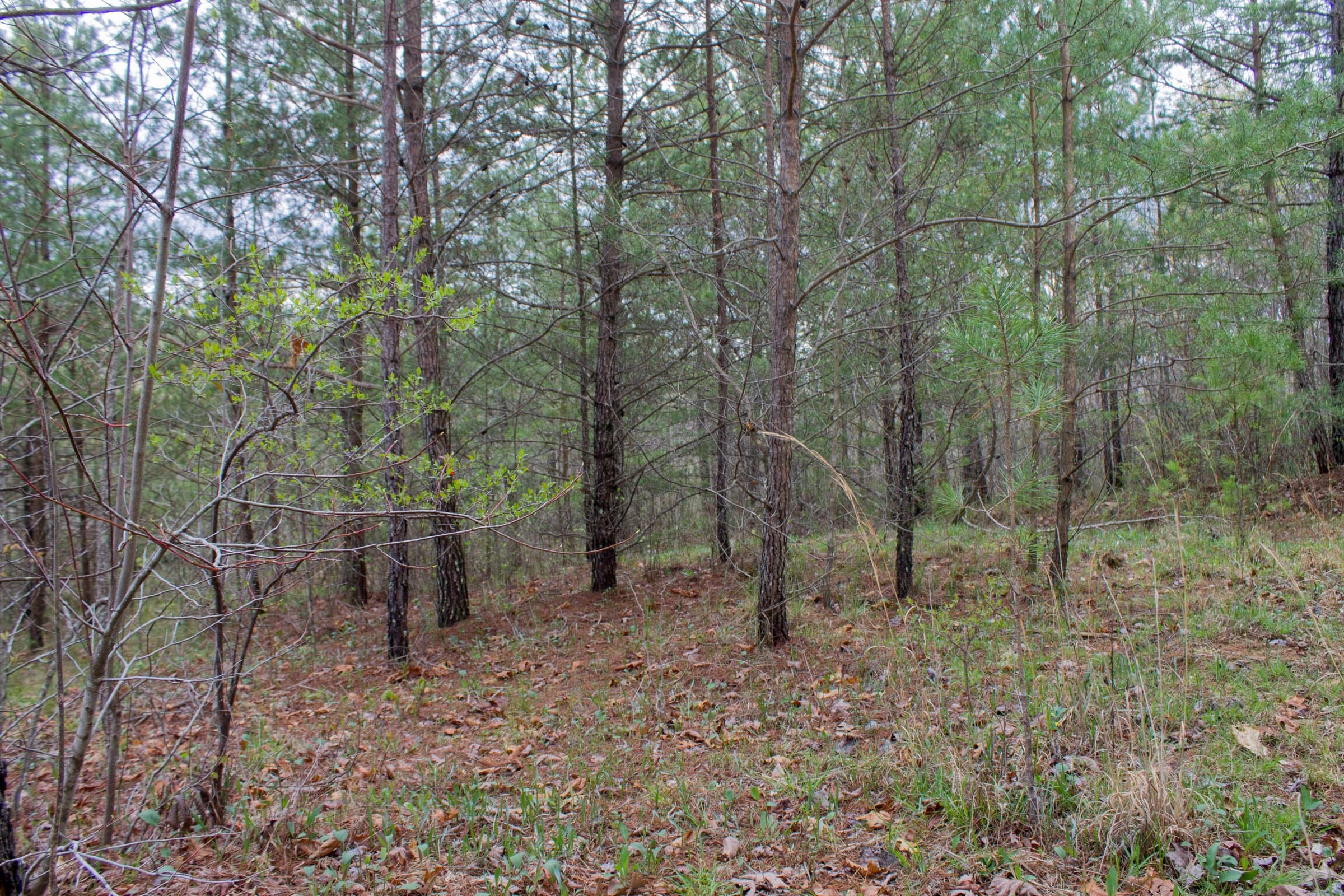 Hidden Hills Tract 27 photo 15