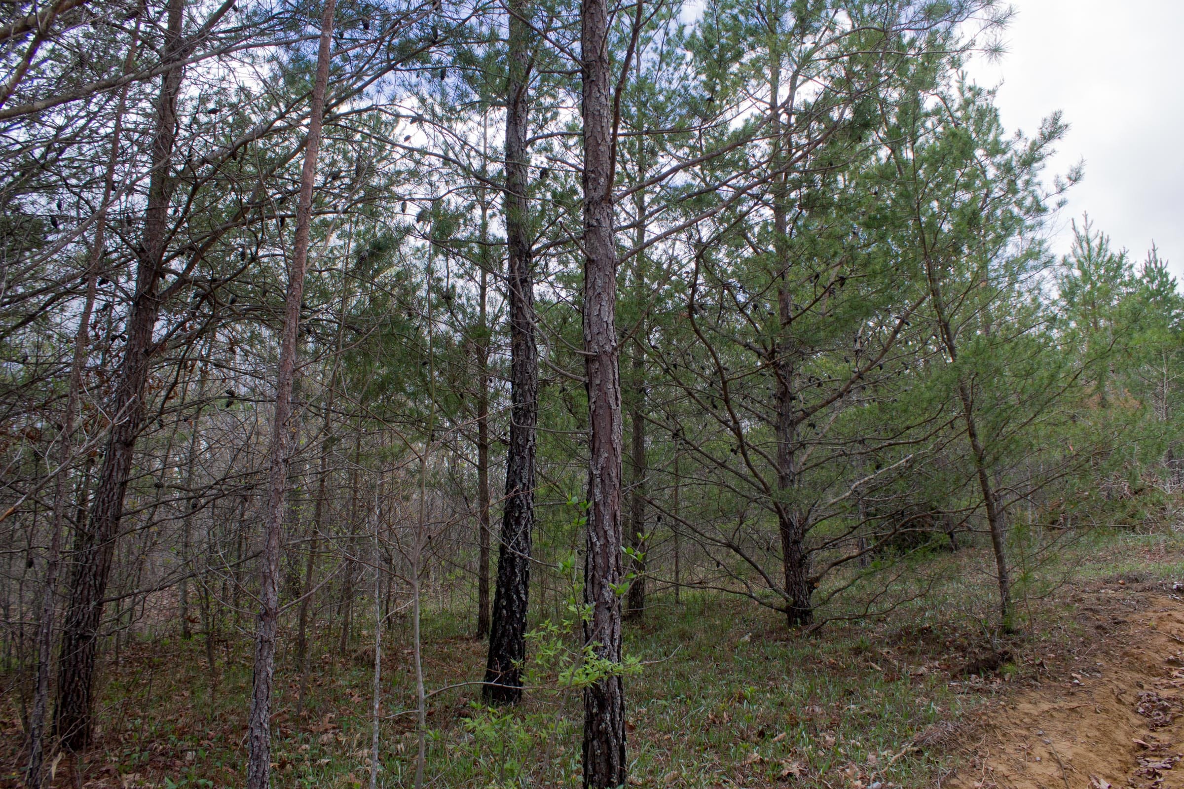 Hidden Hills Tract 27 photo 16