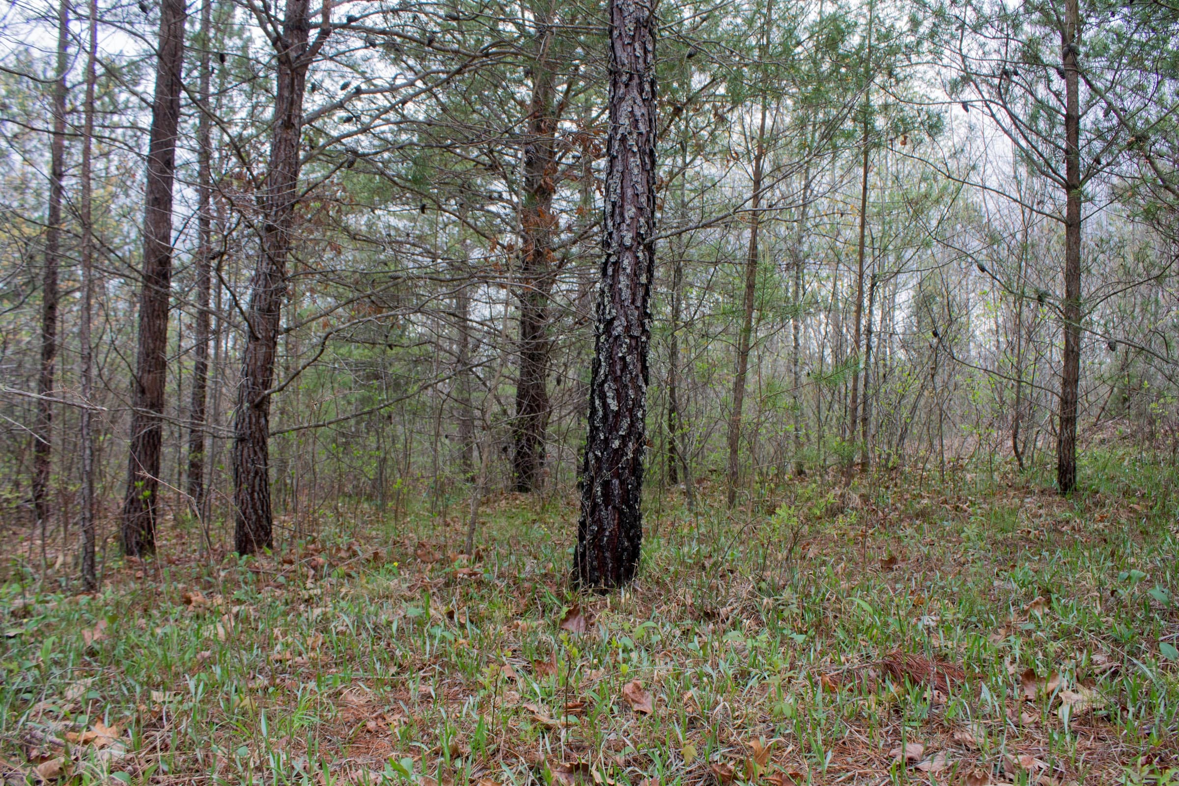 Hidden Hills Tract 27 photo 17