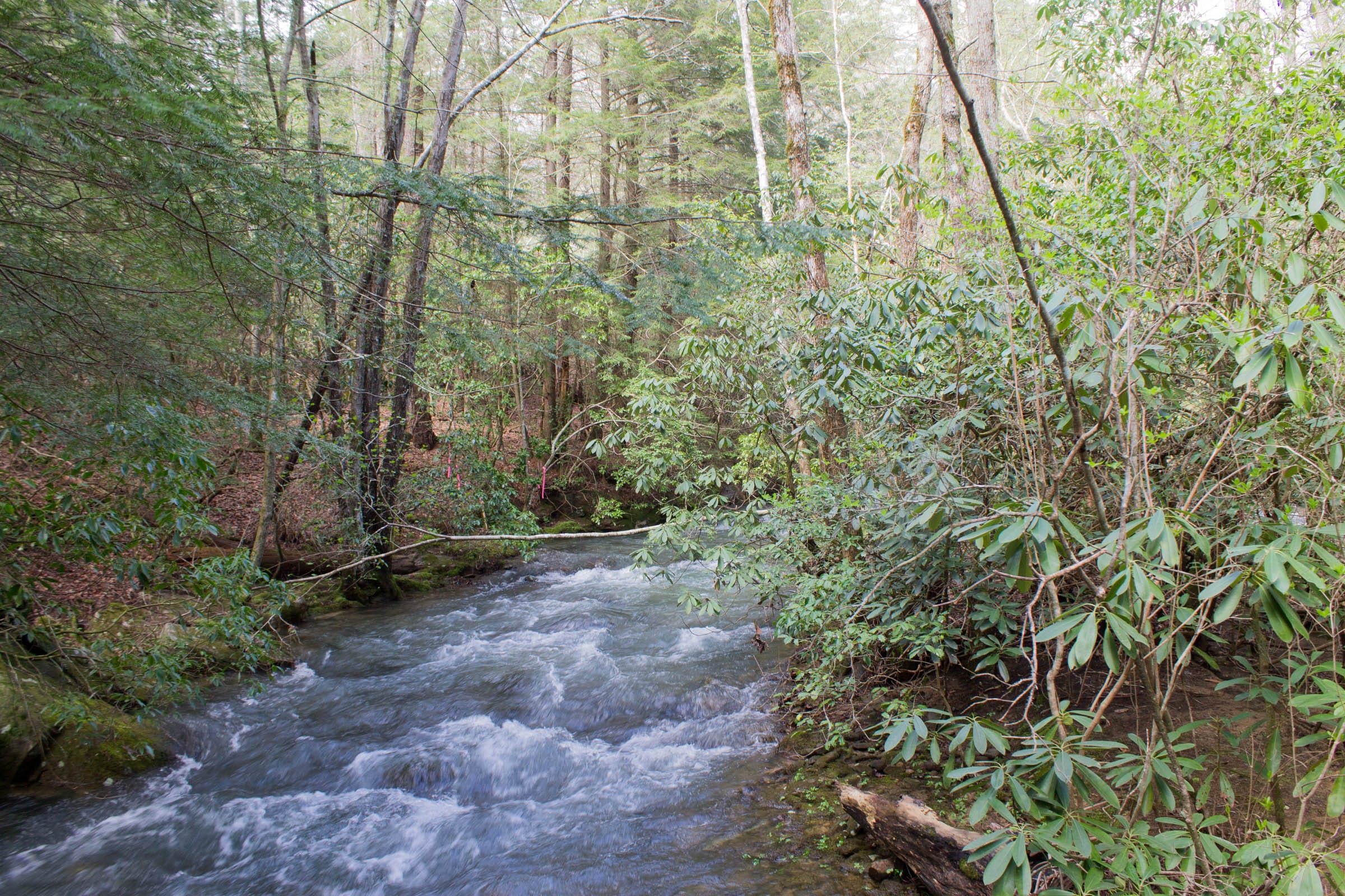 Hidden Hills Tract 27 photo 22