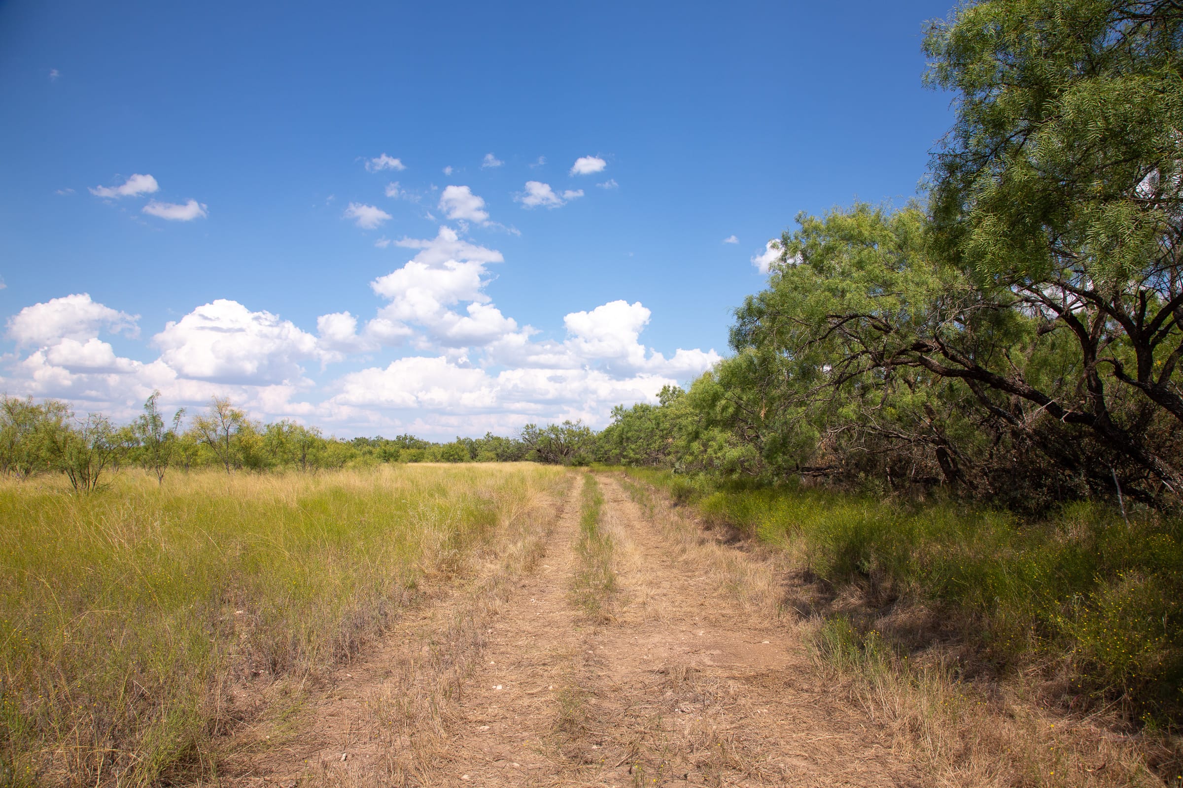 Hunter’s Ranch Tract 15 photo 5