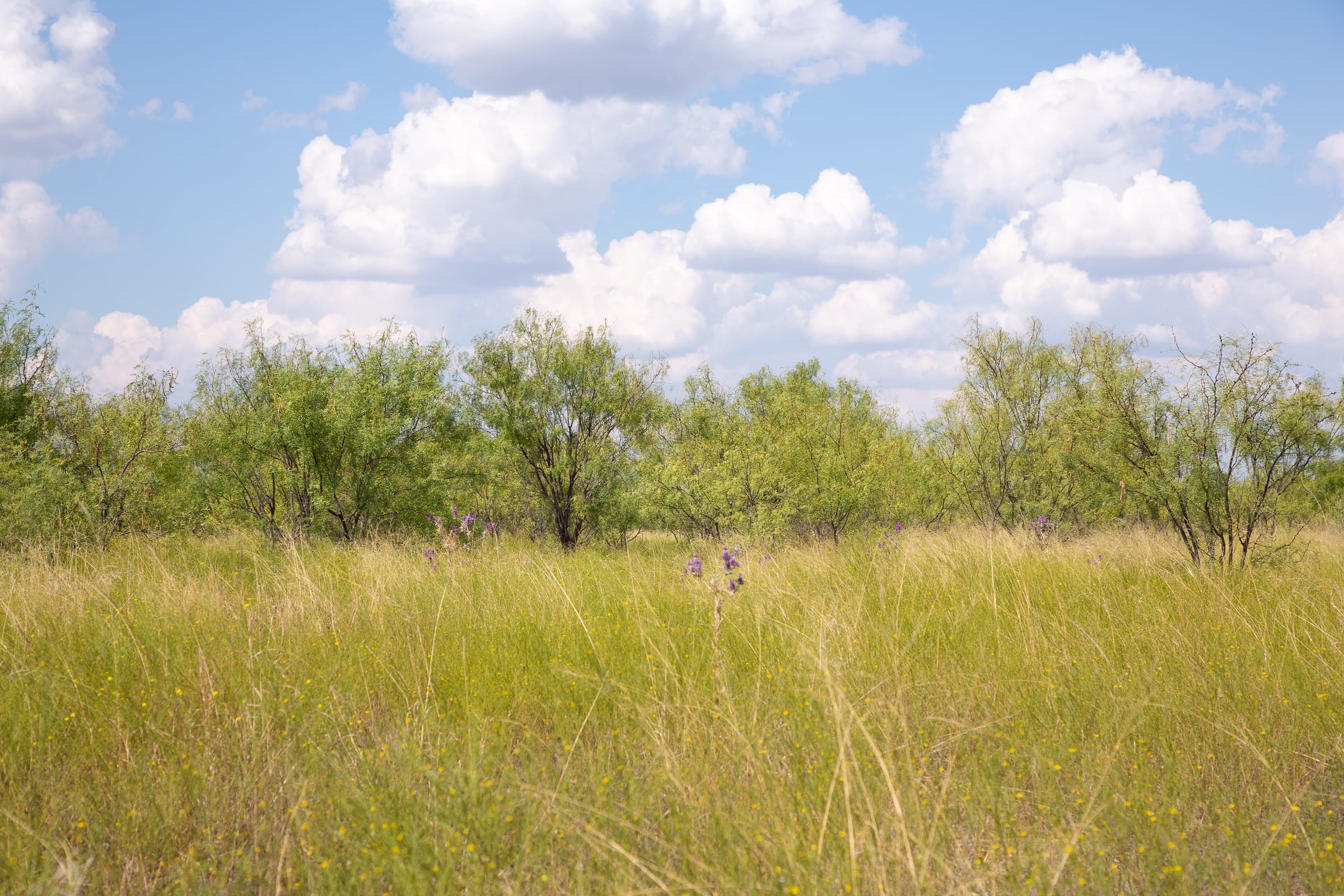 Hunter’s Ranch Tract 15 photo 6