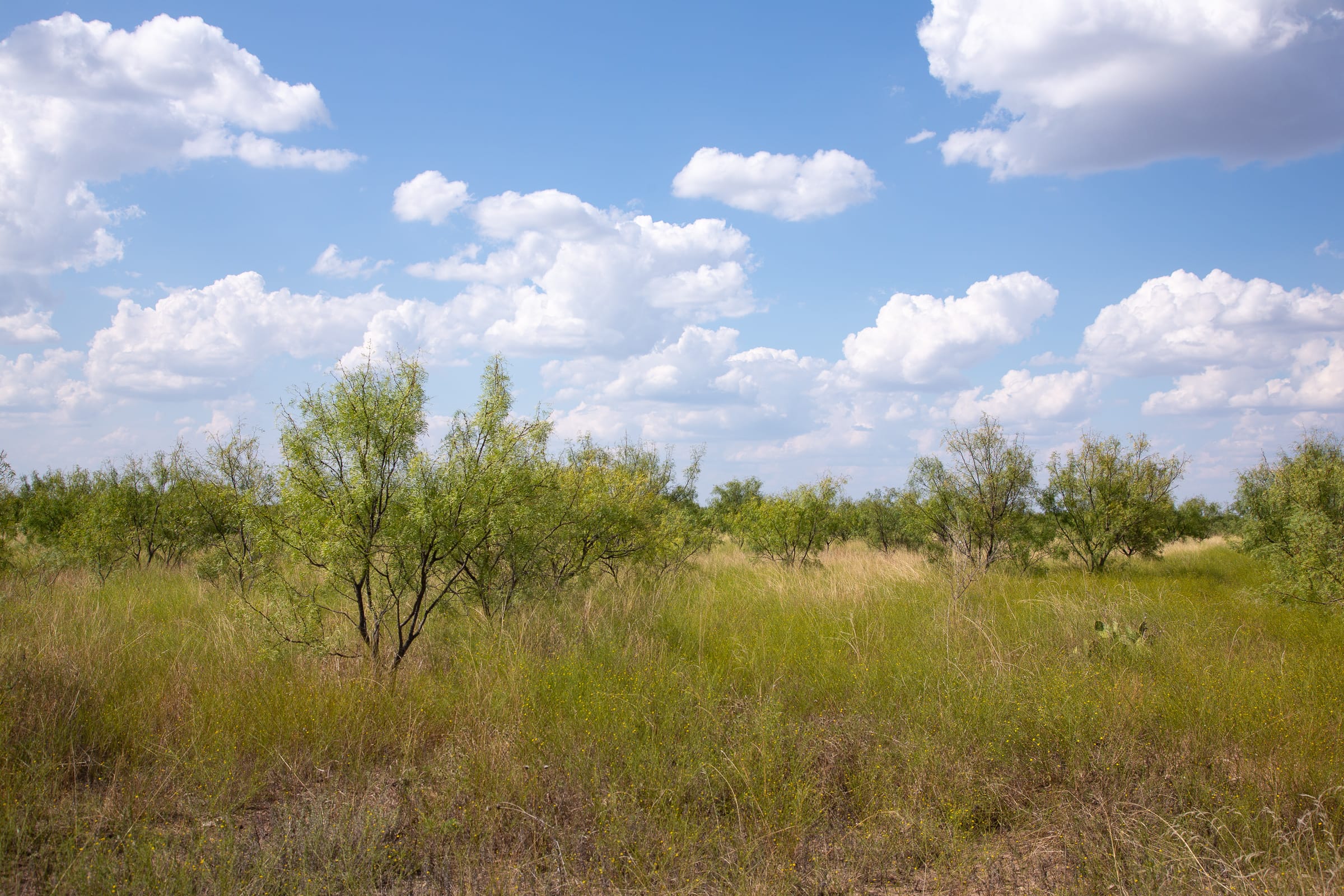Hunter’s Ranch Tract 15 photo 7