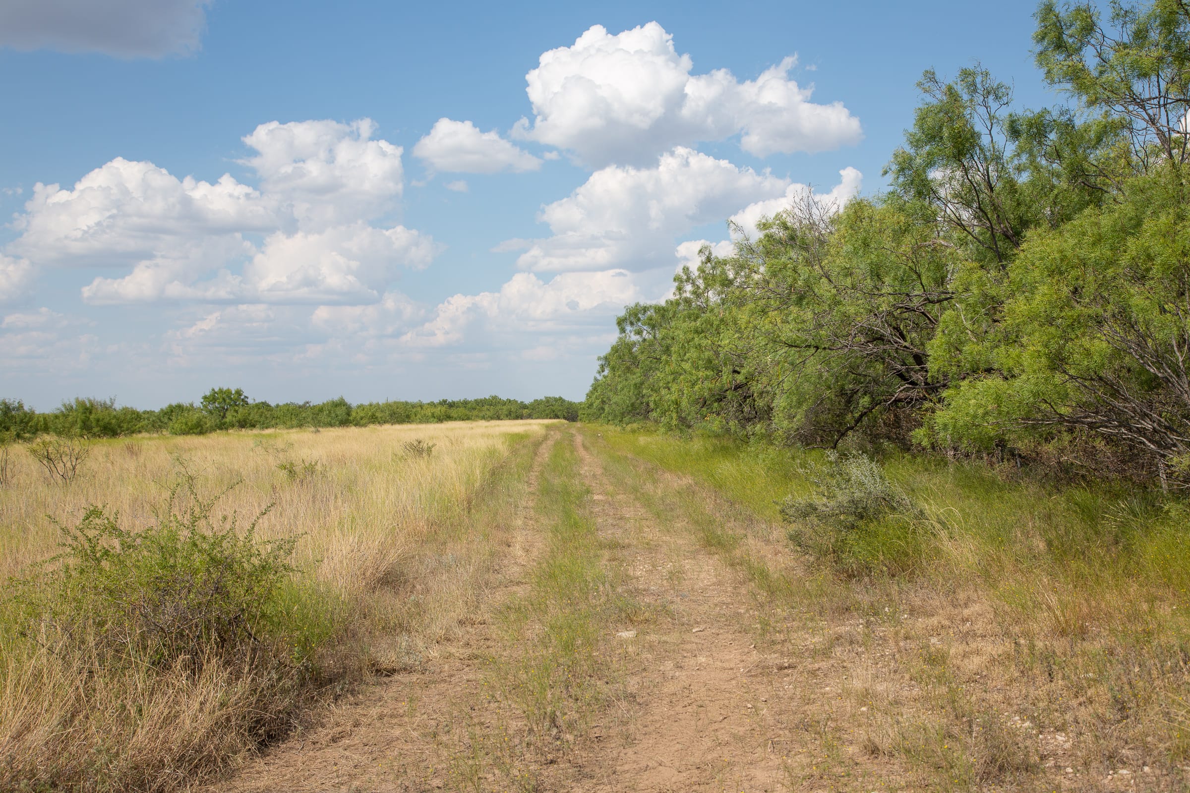 Hunter’s Ranch Tract 15 photo 10