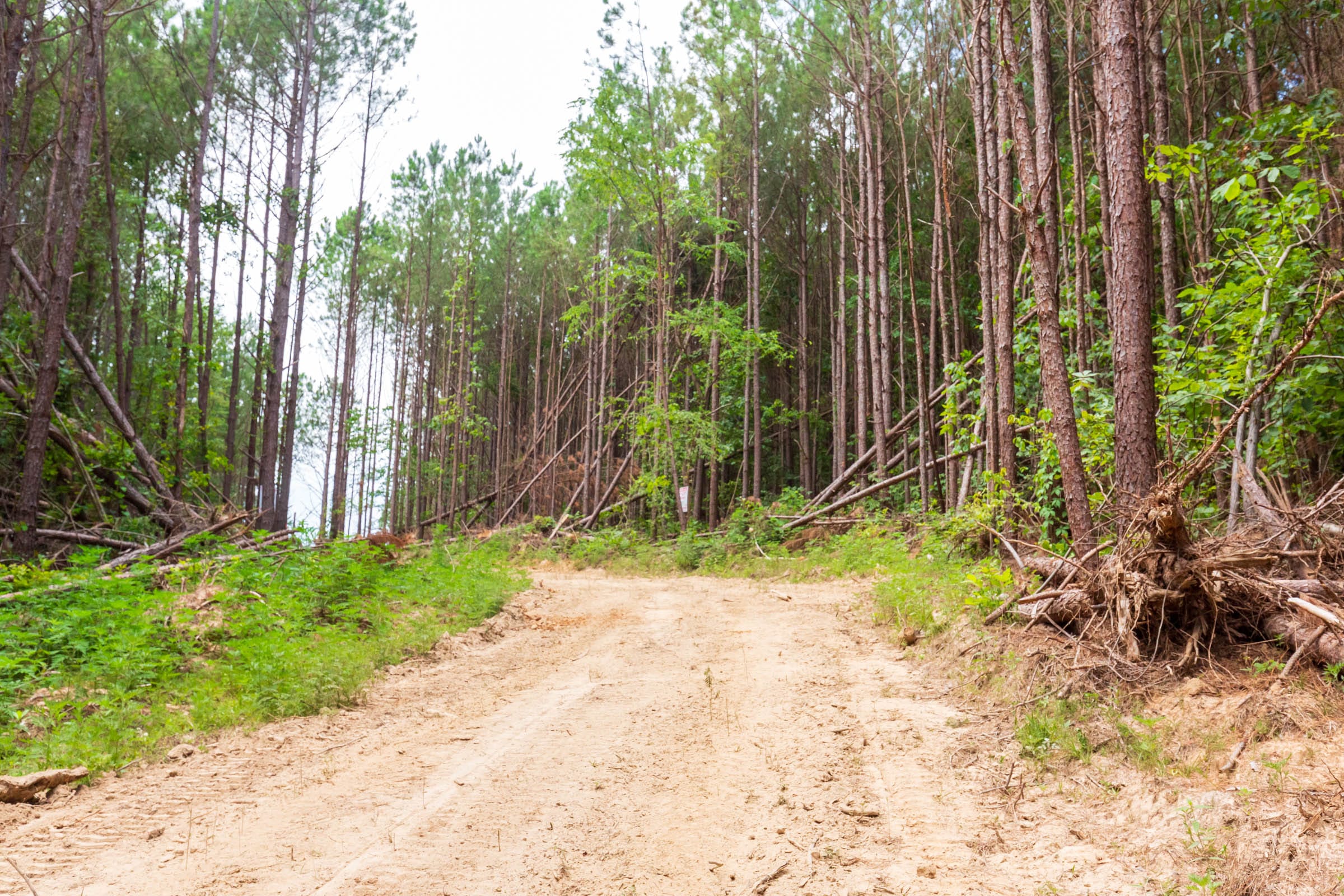 Whiskey Ridge Tract 103 photo 1