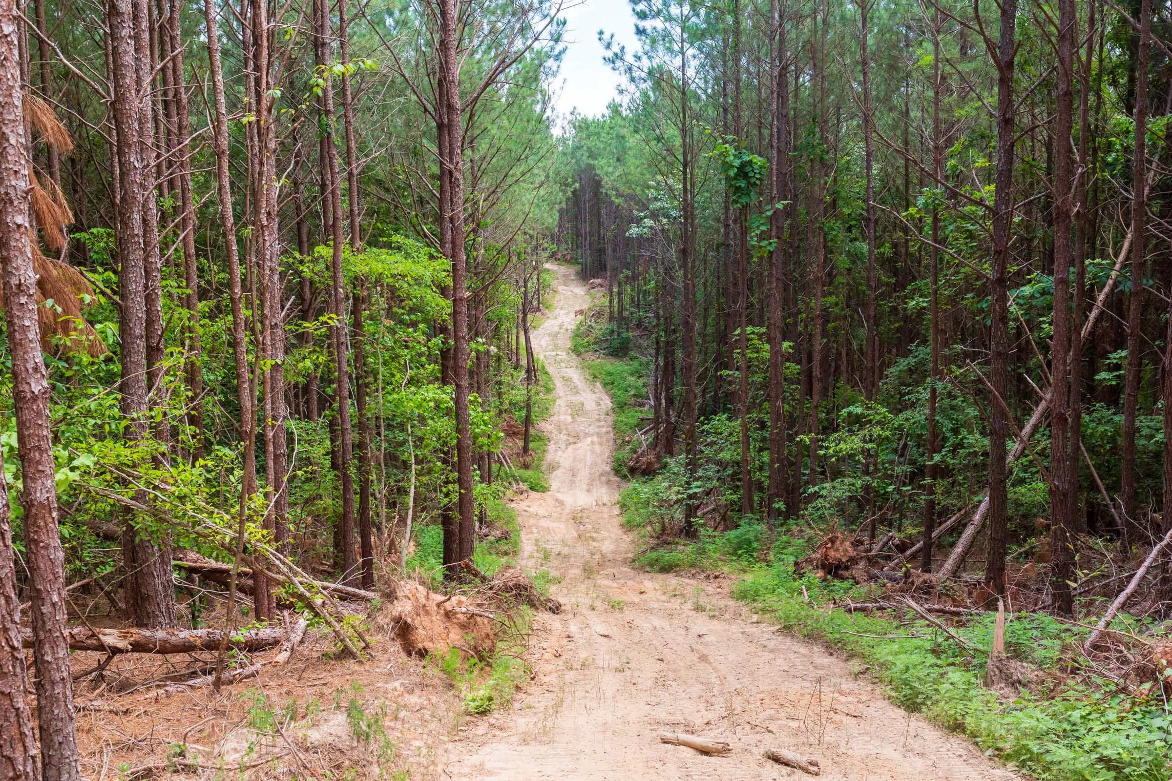 Whiskey Ridge Tract 103 photo 7