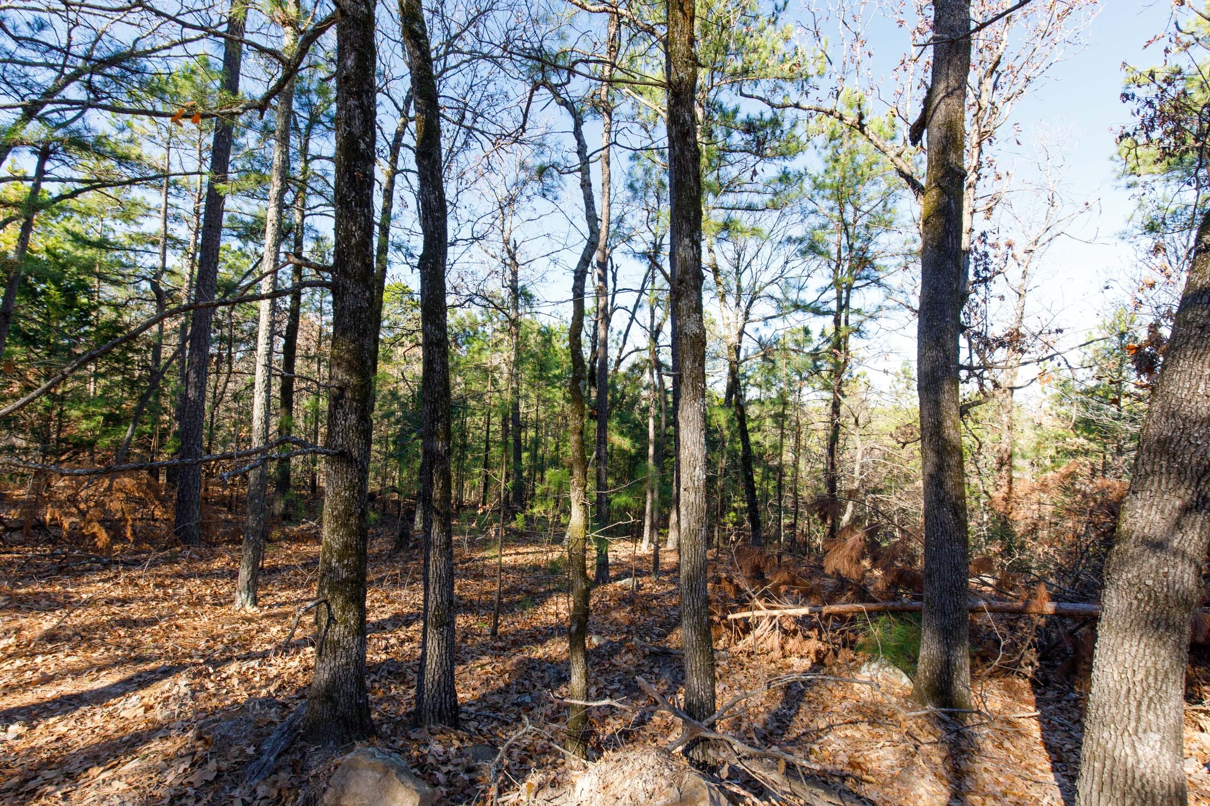 Stone Bridge Phase II Tract 122 photo 3