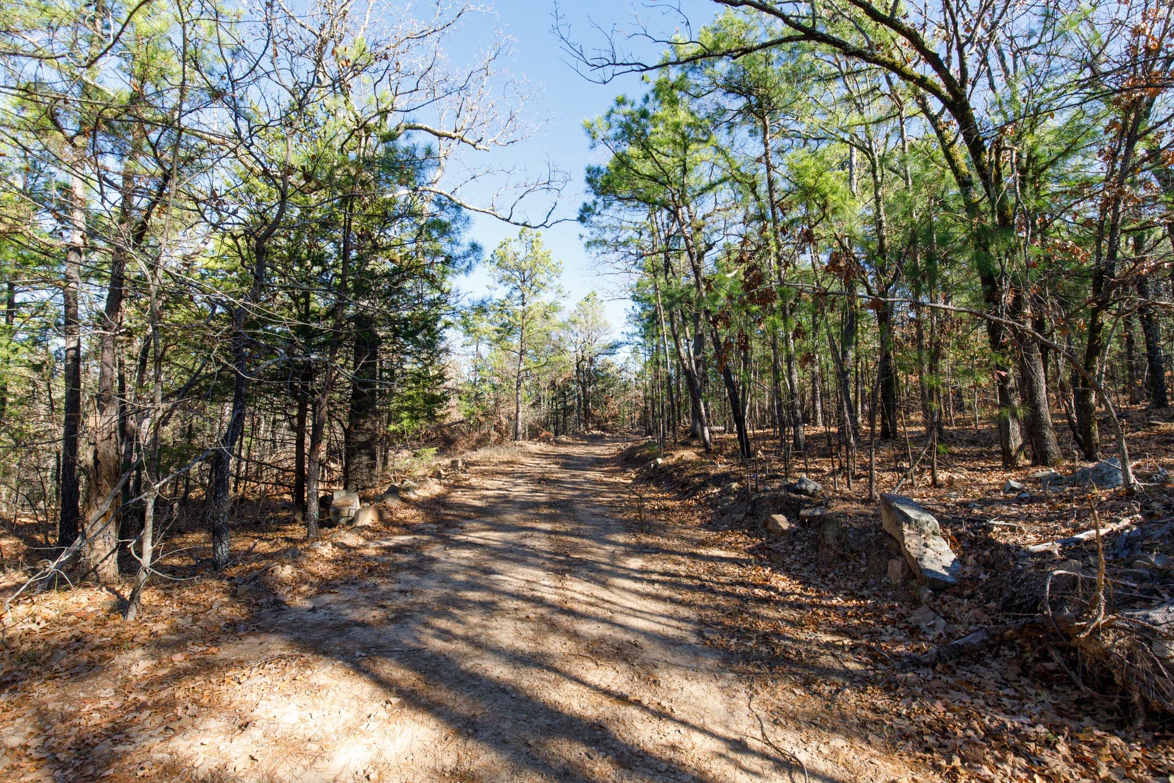 Stone Bridge Phase II Tract 122 photo 1