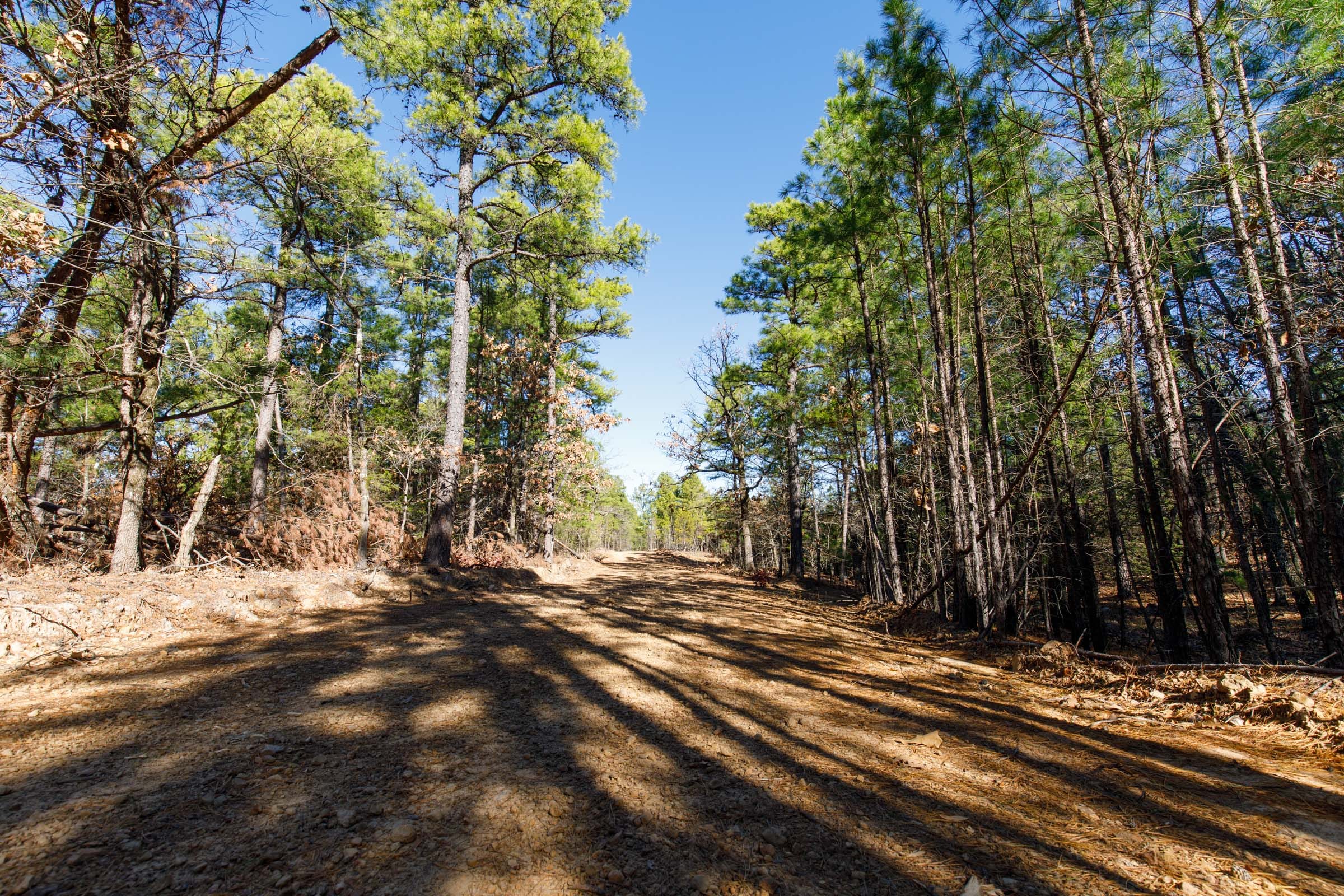 Stone Bridge Phase II Tract 122 photo 5