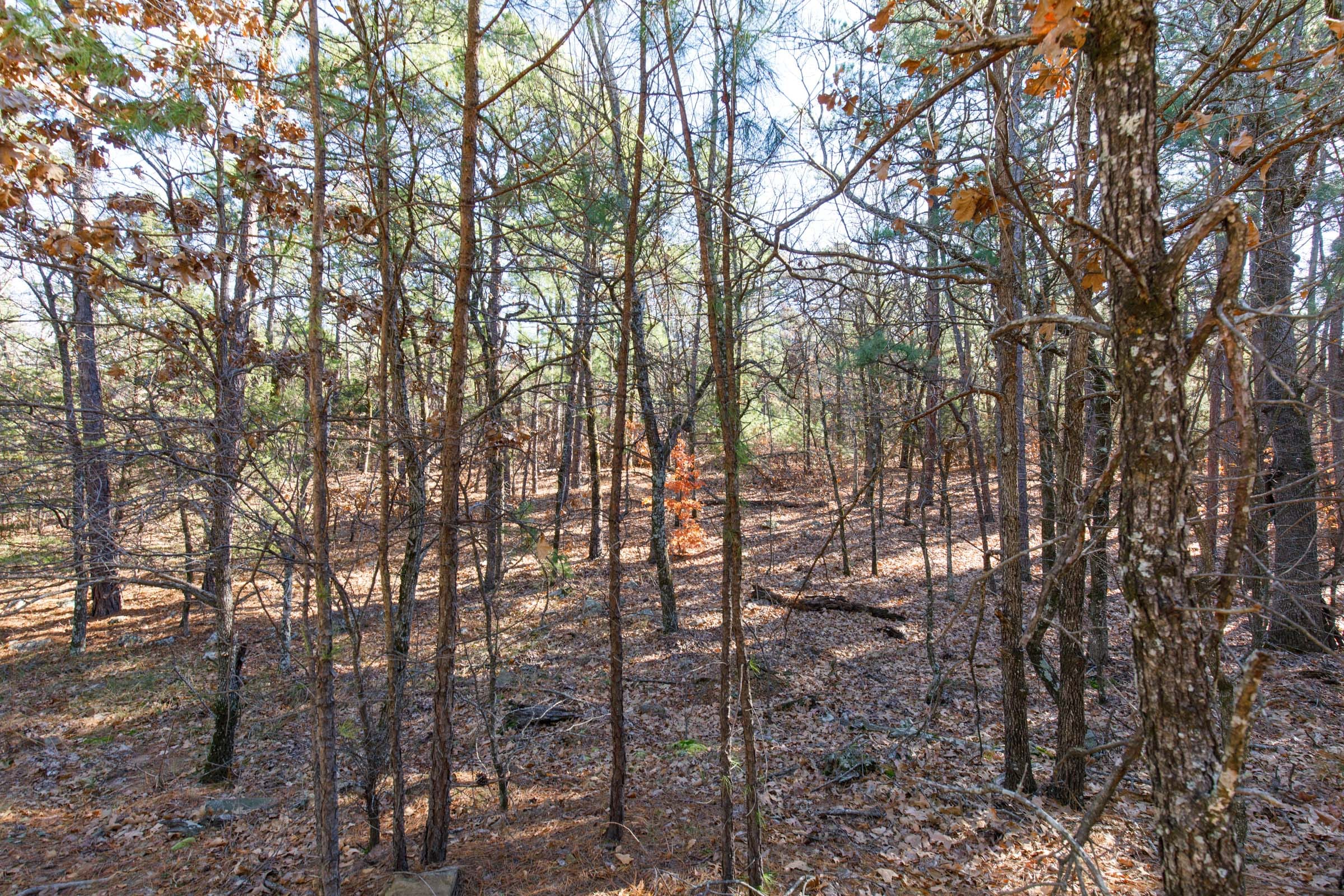 Stone Bridge Phase II Tract 122 photo 6