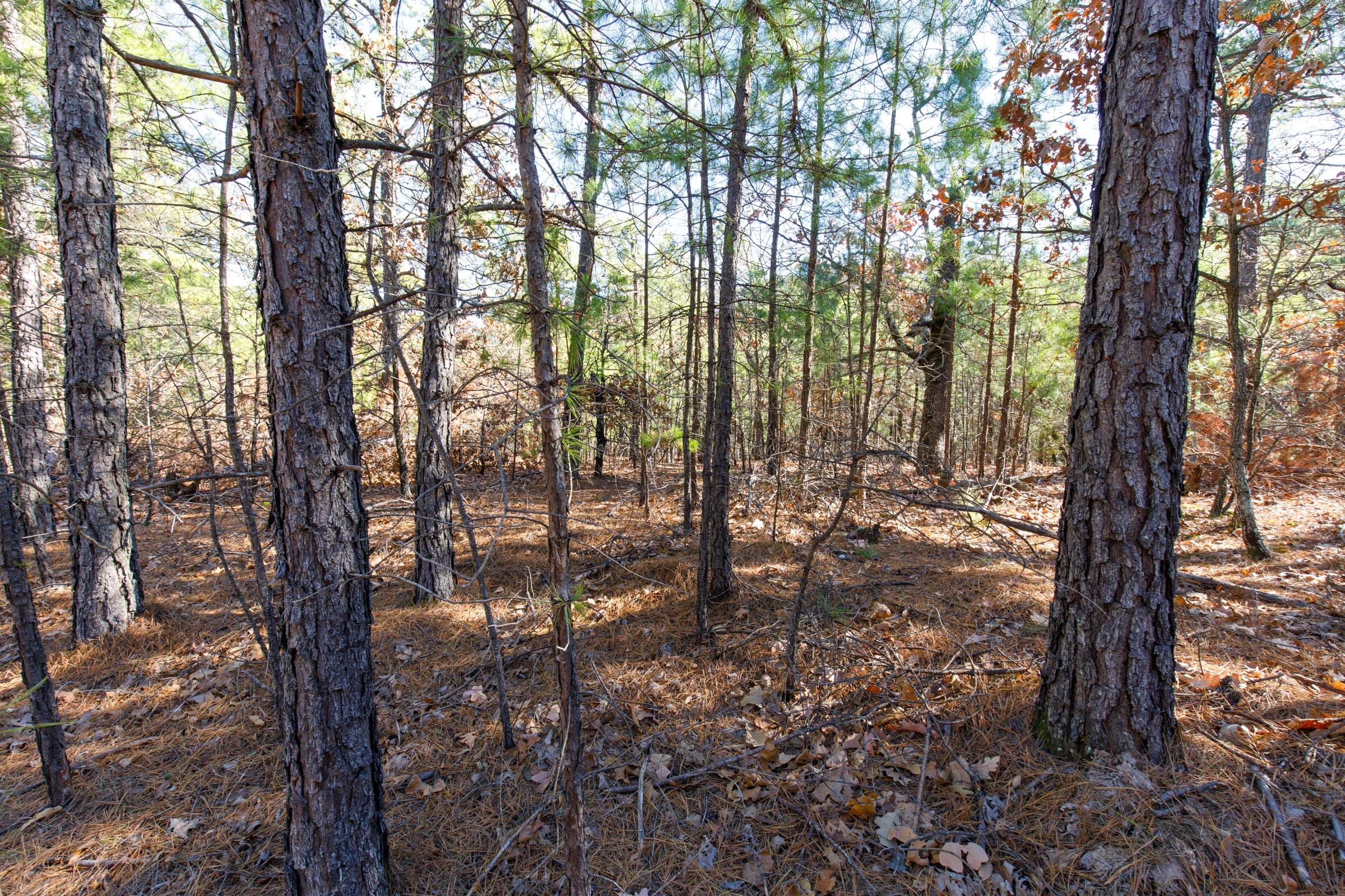 Stone Bridge Phase II Tract 122 photo 7