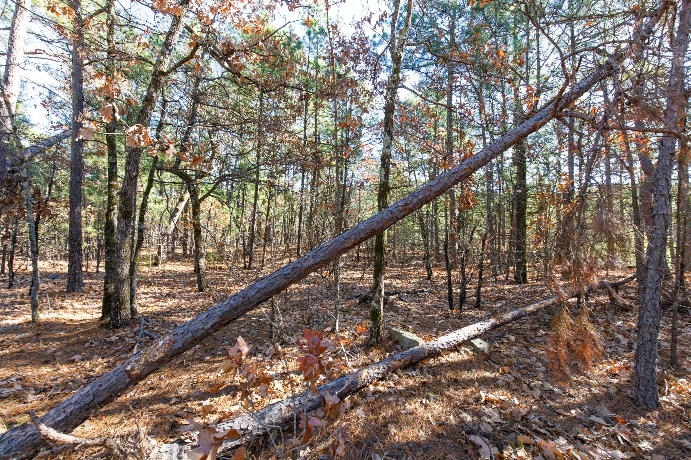 Stone Bridge Phase II Tract 122 photo 8