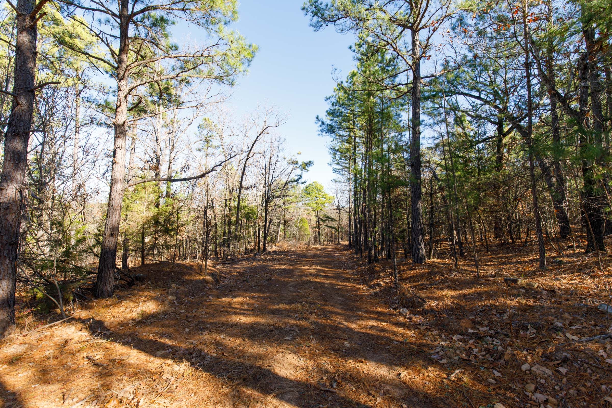 Stone Bridge Phase II Tract 122 photo 10