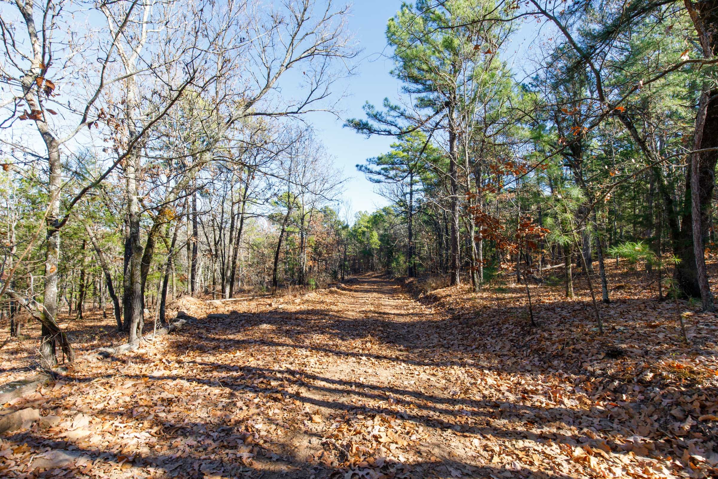 Stone Bridge Phase II Tract 122 photo 12