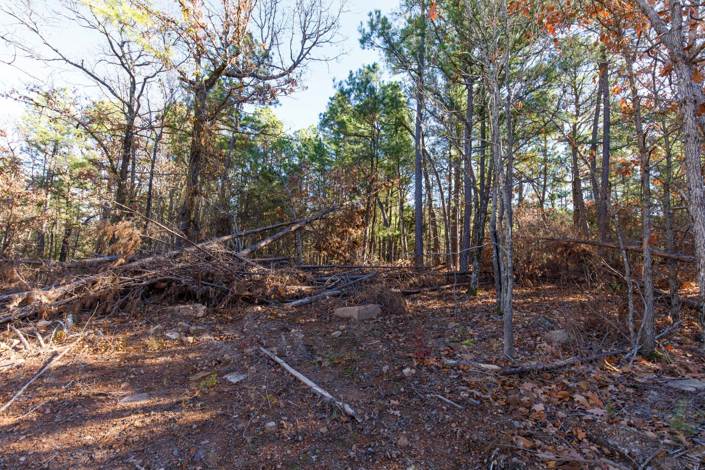 Stone Bridge Phase II Tract 122 photo 13