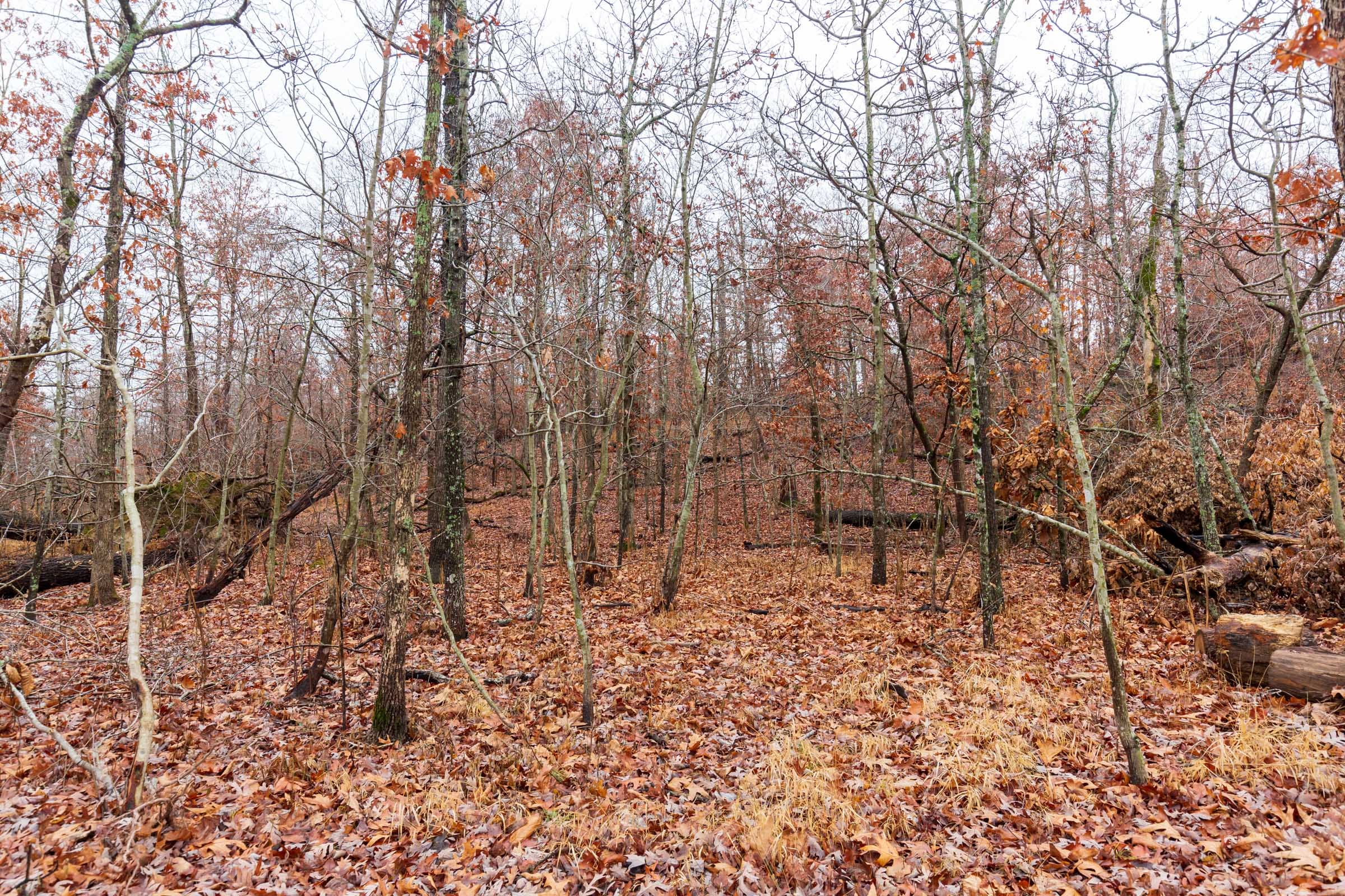 Carter’s Crossing Tract 13 photo 1