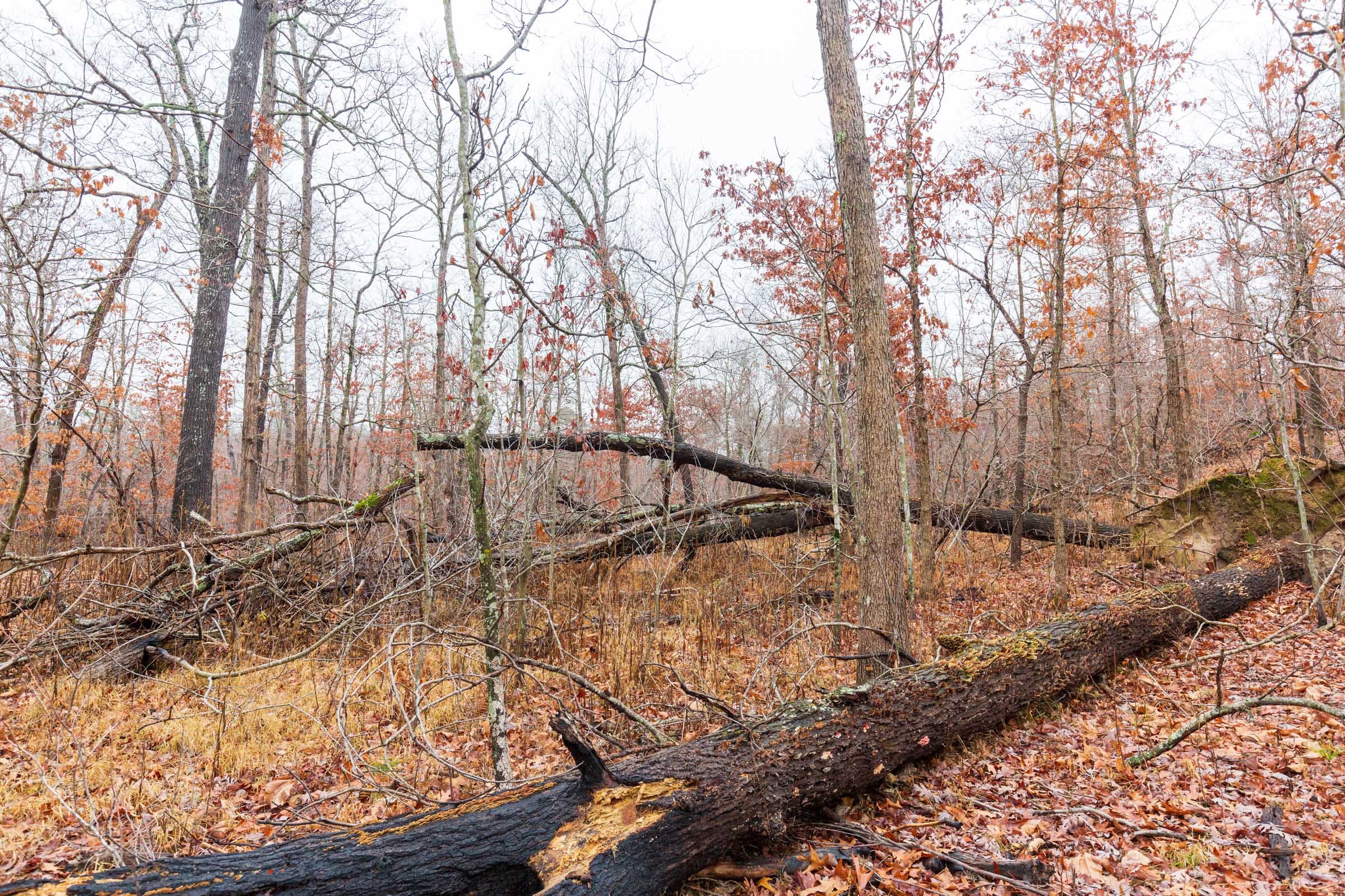 Carter’s Crossing Tract 13 photo 2