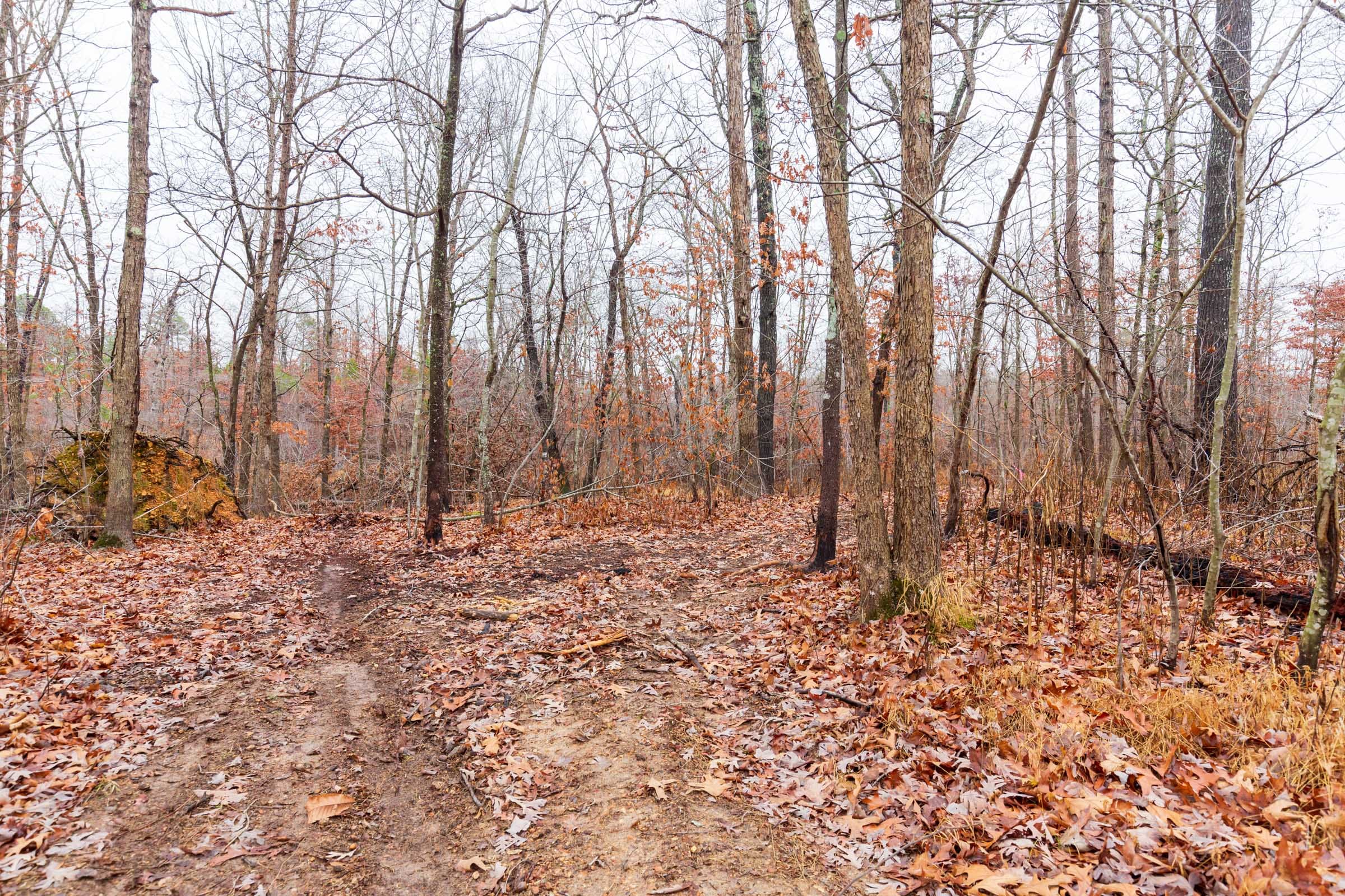 Carter’s Crossing Tract 13 photo 3