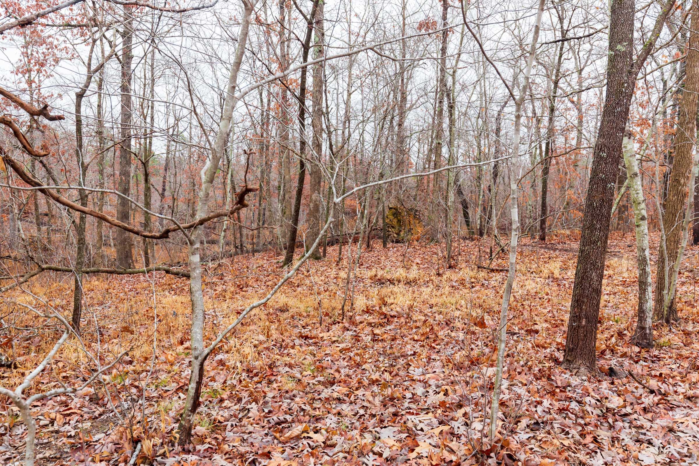 Carter’s Crossing Tract 13 photo 5