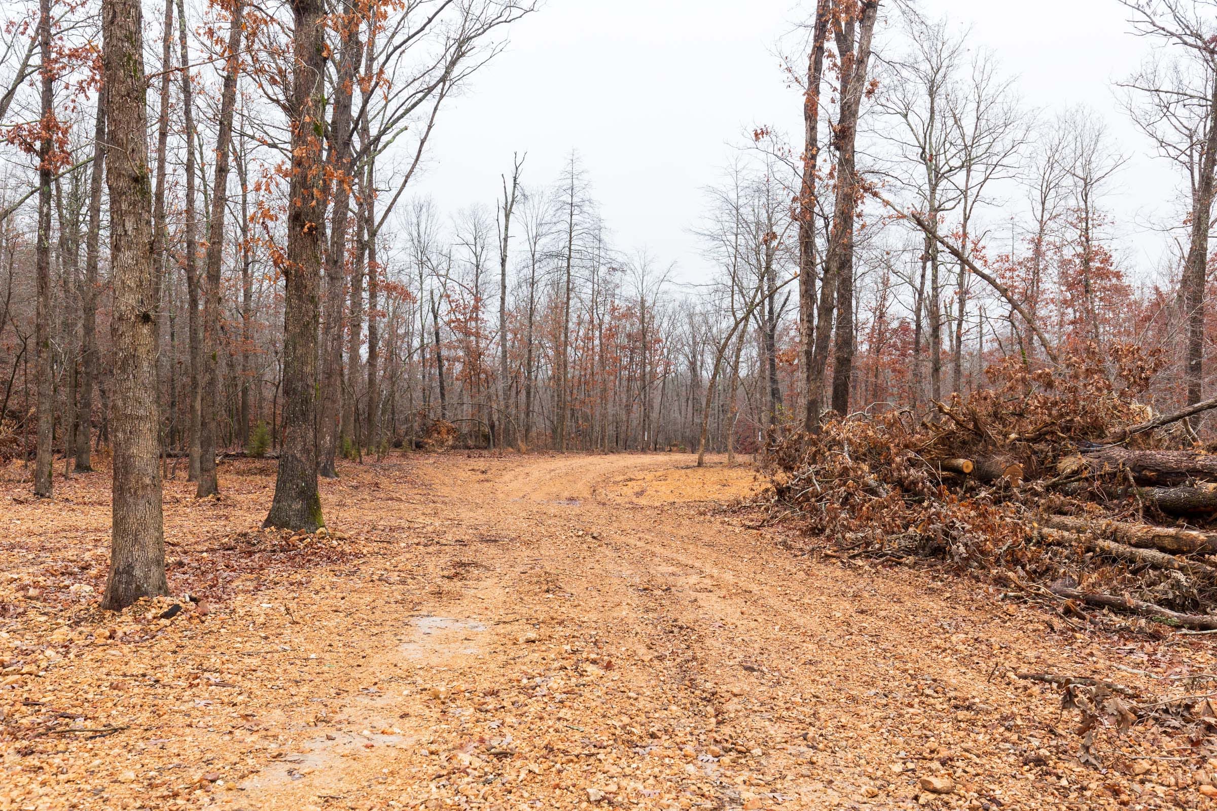 Carter’s Crossing Tract 13 photo 6