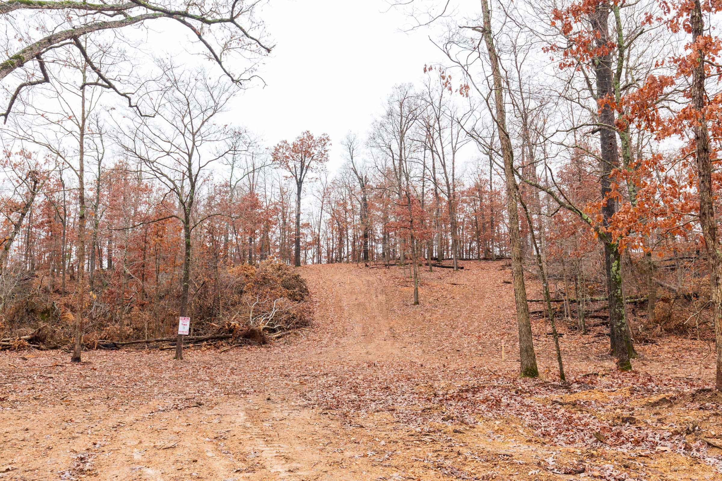 Carter’s Crossing Tract 13 photo 7
