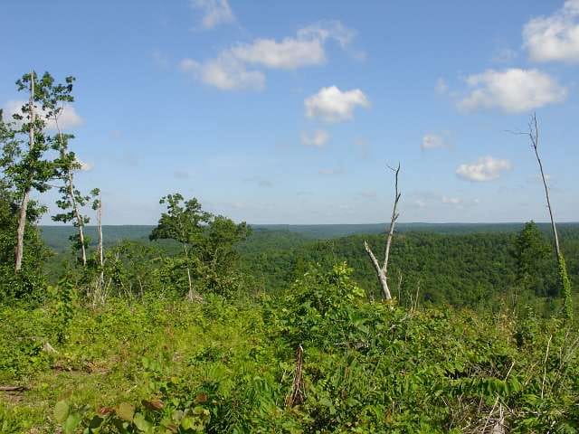 Antler Ridge Tract 28 photo 1