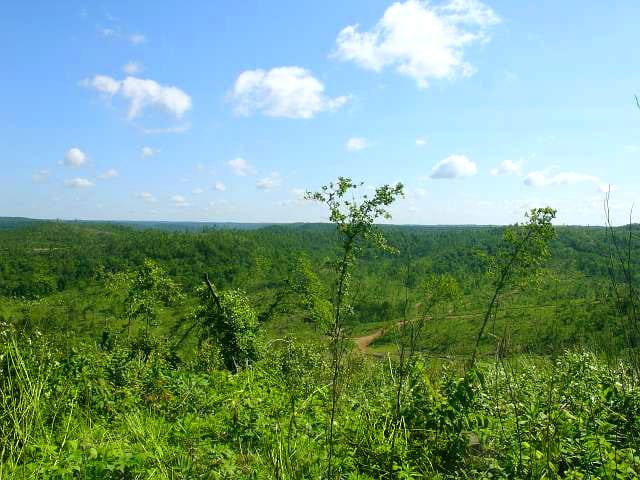 Antler Ridge Tract 28 photo 2