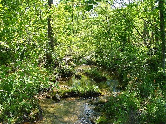 Antler Ridge Tract 28 photo 6