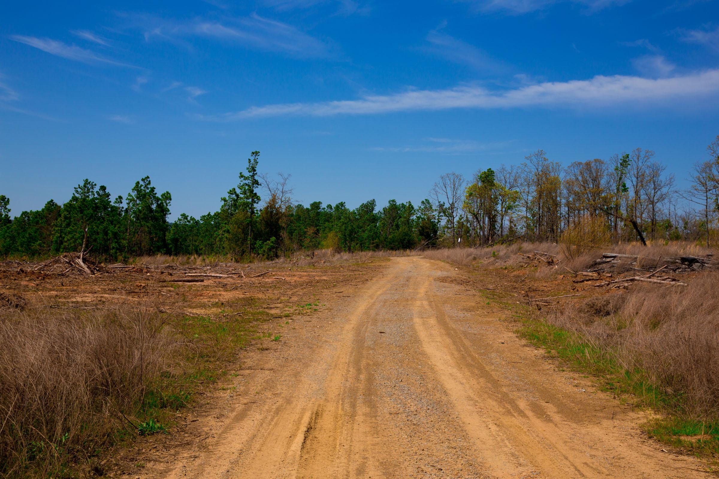 Stone Creek Phase II Tract 245 photo 2