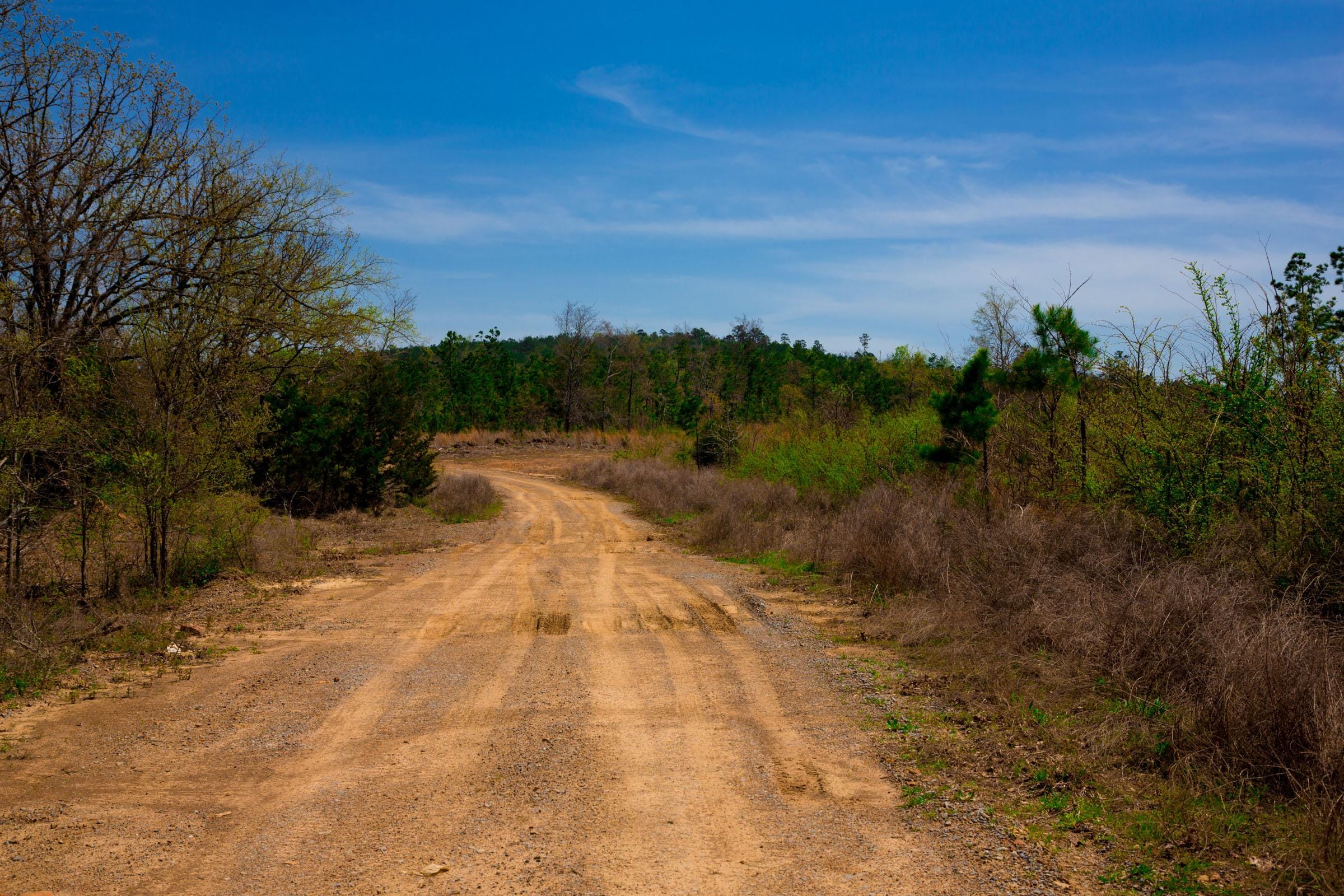 Stone Creek Phase II Tract 245 photo 6