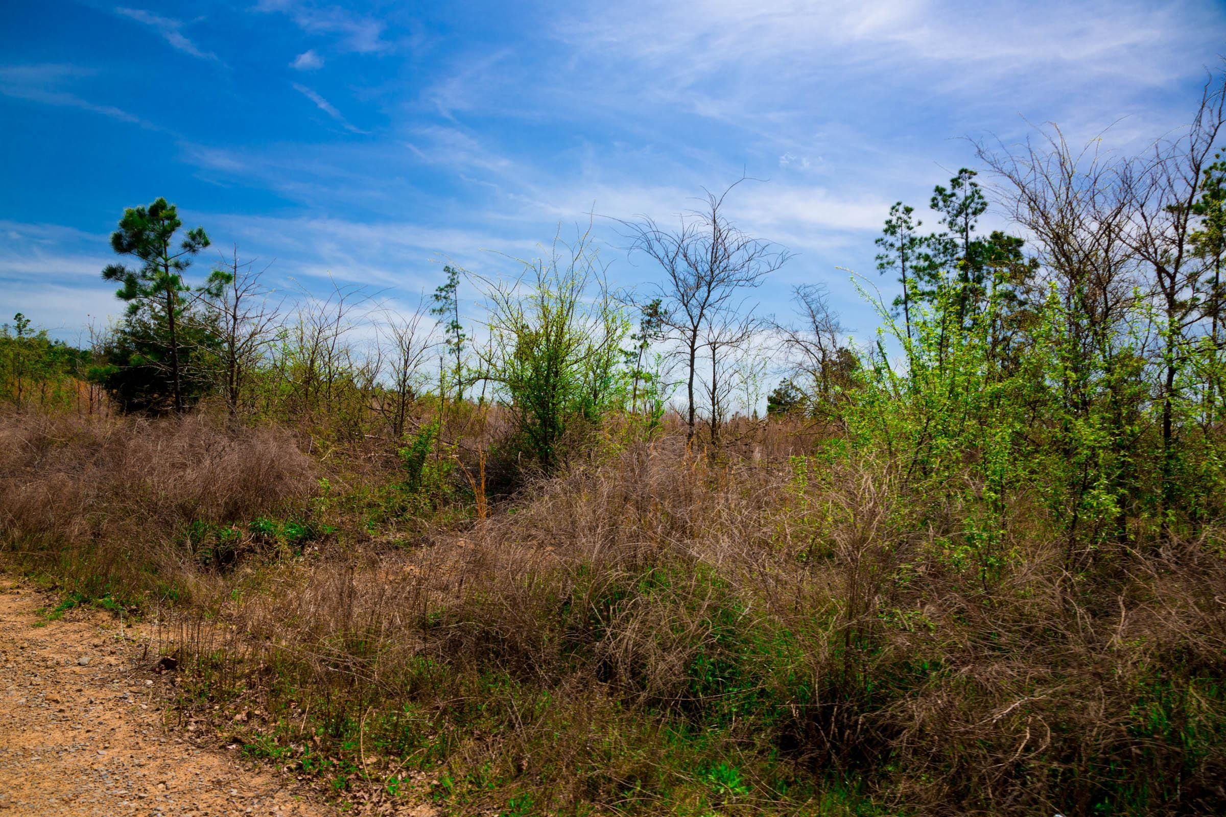 Stone Creek Phase II Tract 245 photo 4