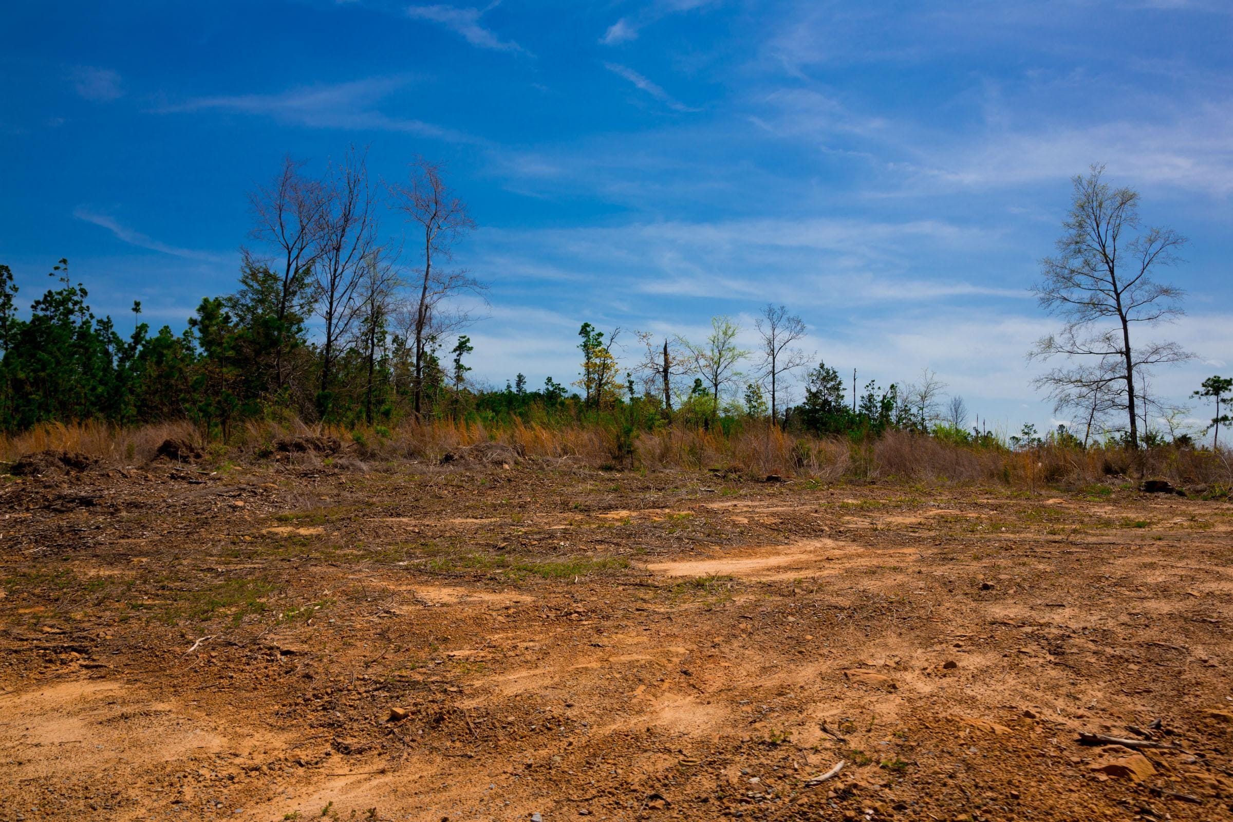 Stone Creek Phase II Tract 245 photo 5