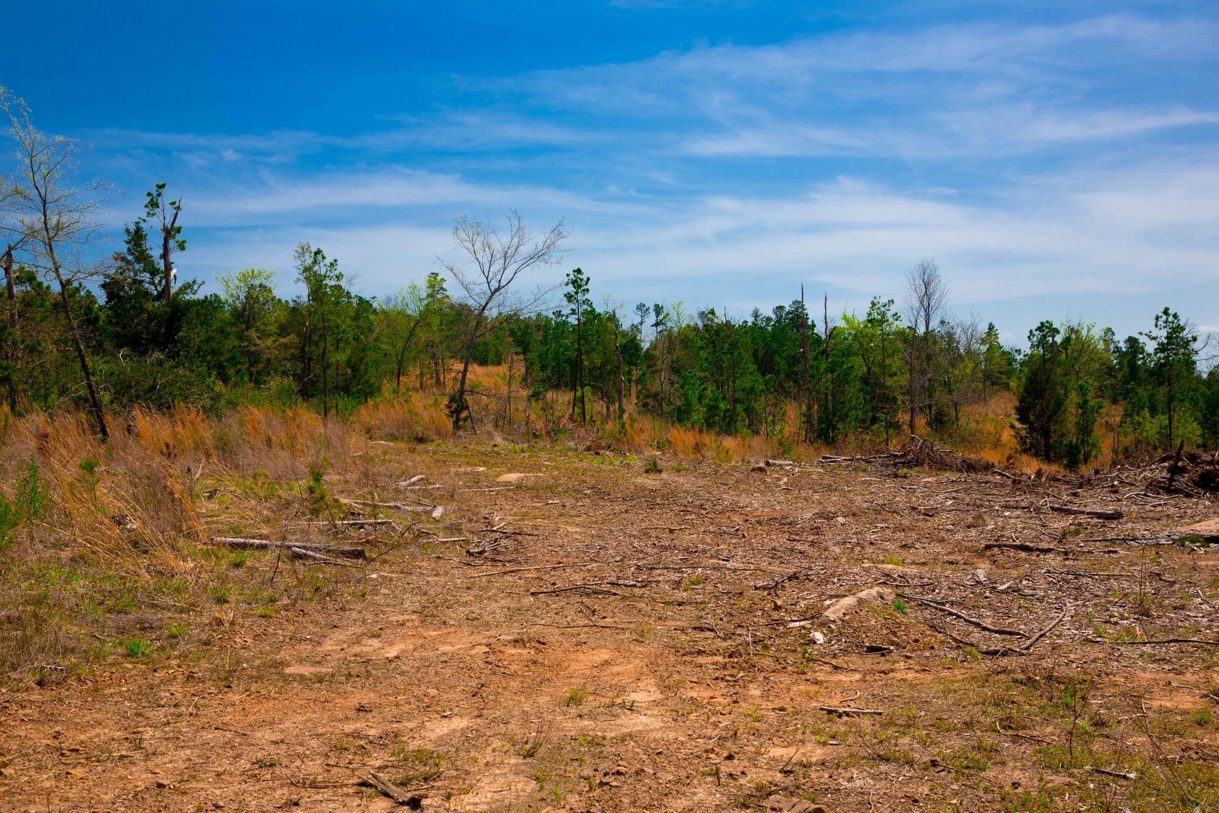 Stone Creek Phase II Tract 245 photo 7