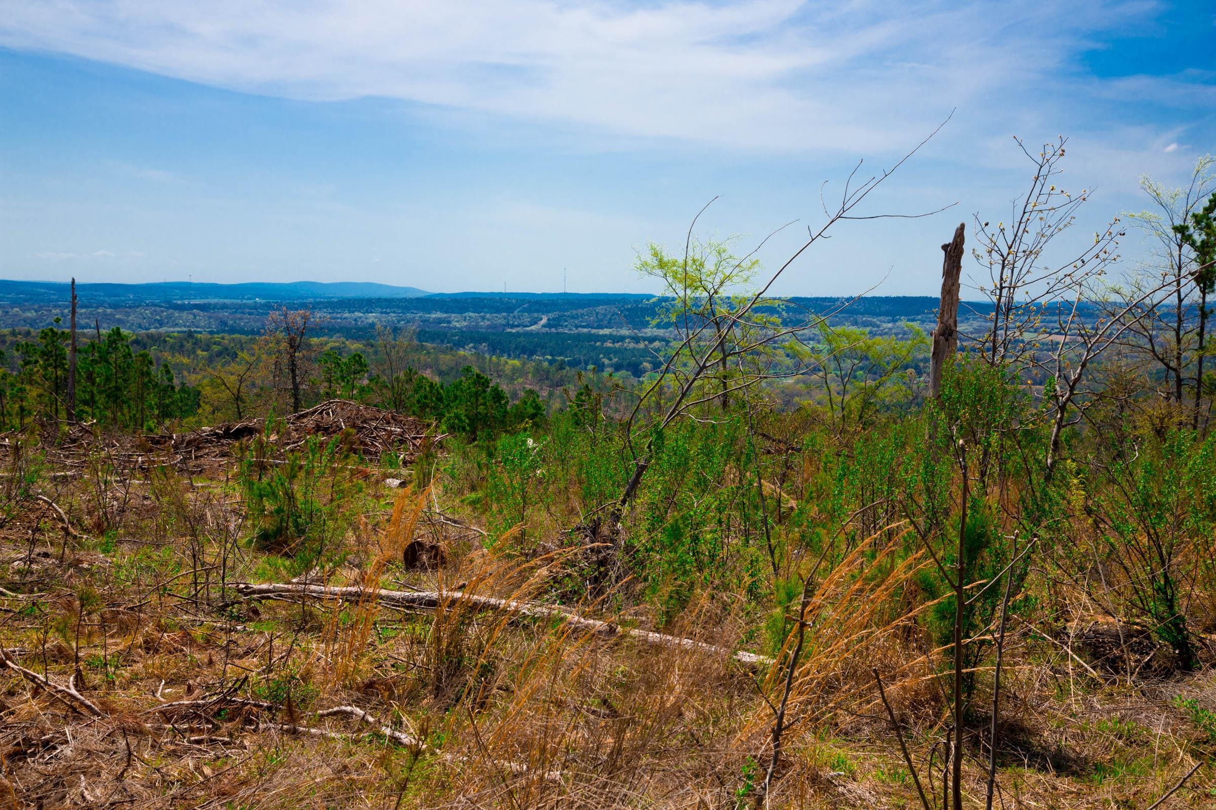 Stone Creek Phase II Tract 245 photo 8