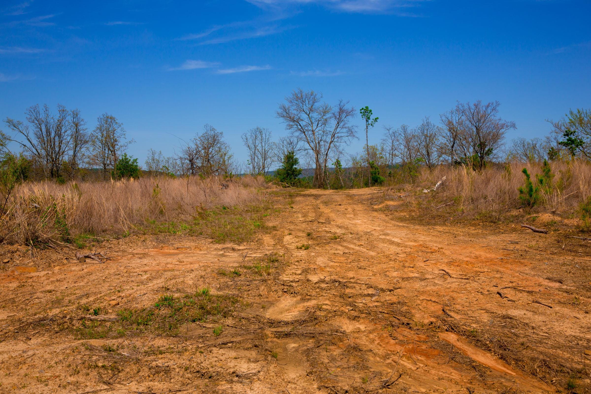 Stone Creek Phase II Tract 245 photo 14