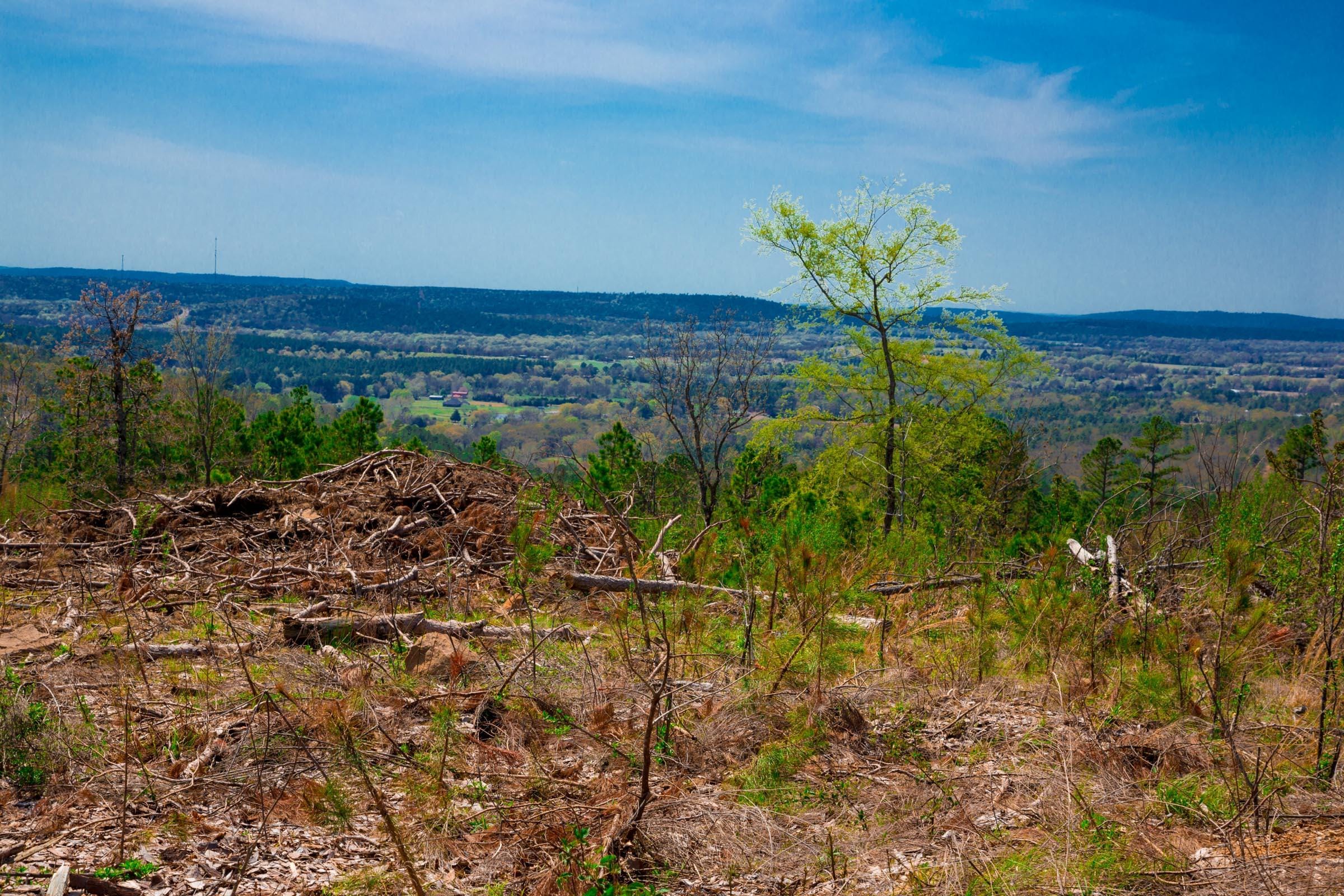 Stone Creek Phase II Tract 245 photo 11