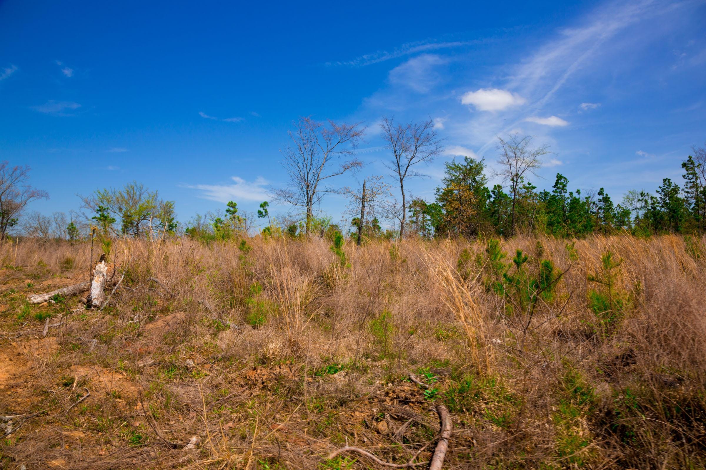 Stone Creek Phase II Tract 245 photo 12