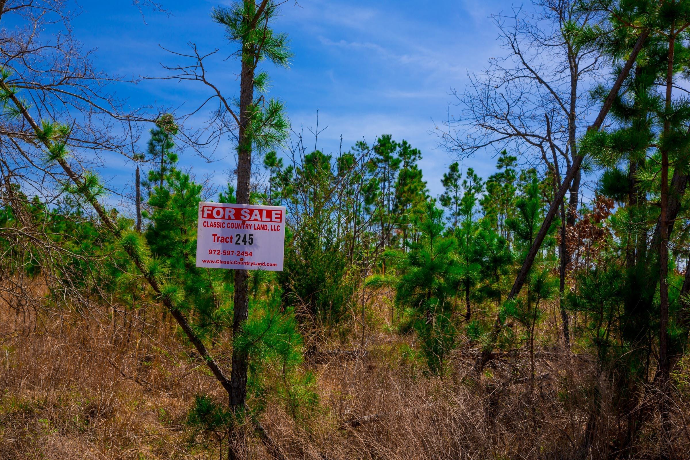Stone Creek Phase II Tract 245 photo 1