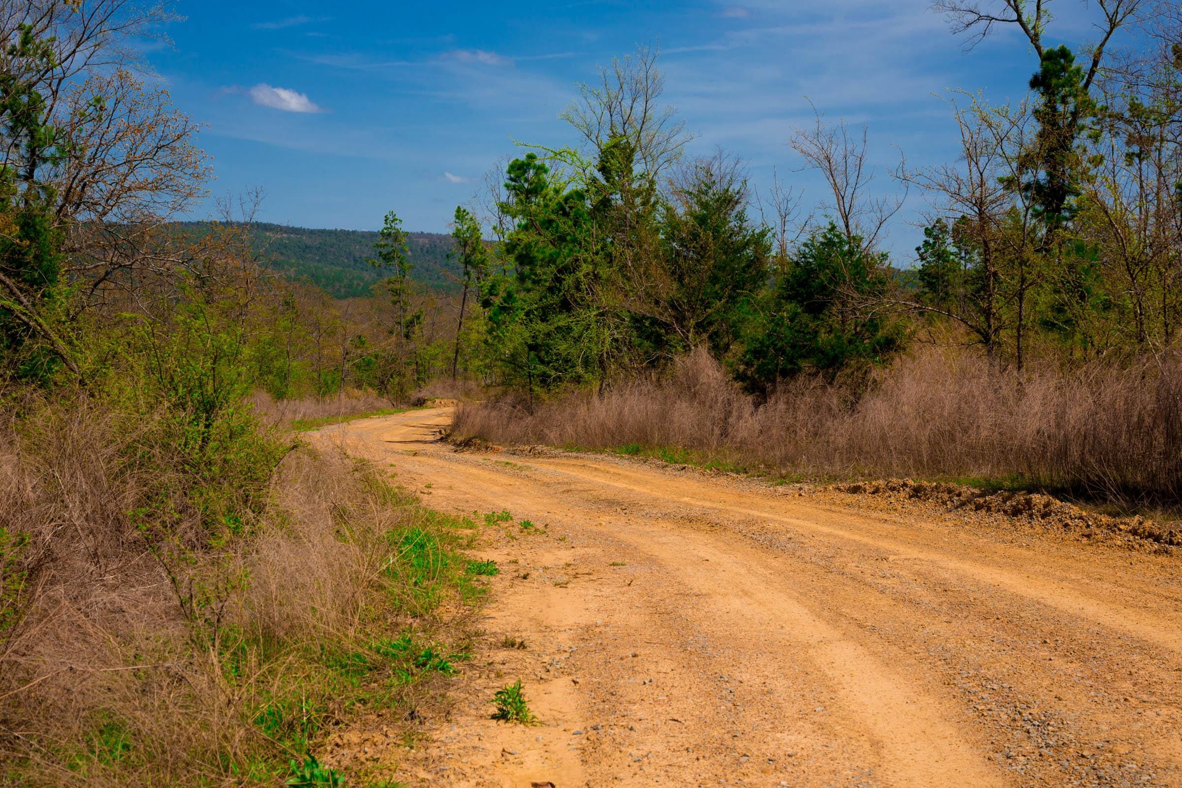 Stone Creek Phase II Tract 245 photo 10