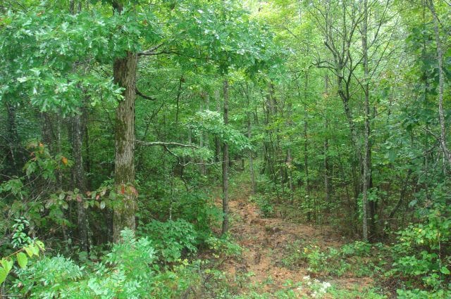 Sugartree Falls Tract 48 photo 2