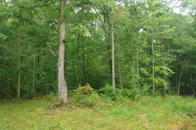 Sugartree Falls Tract 48 photo 5