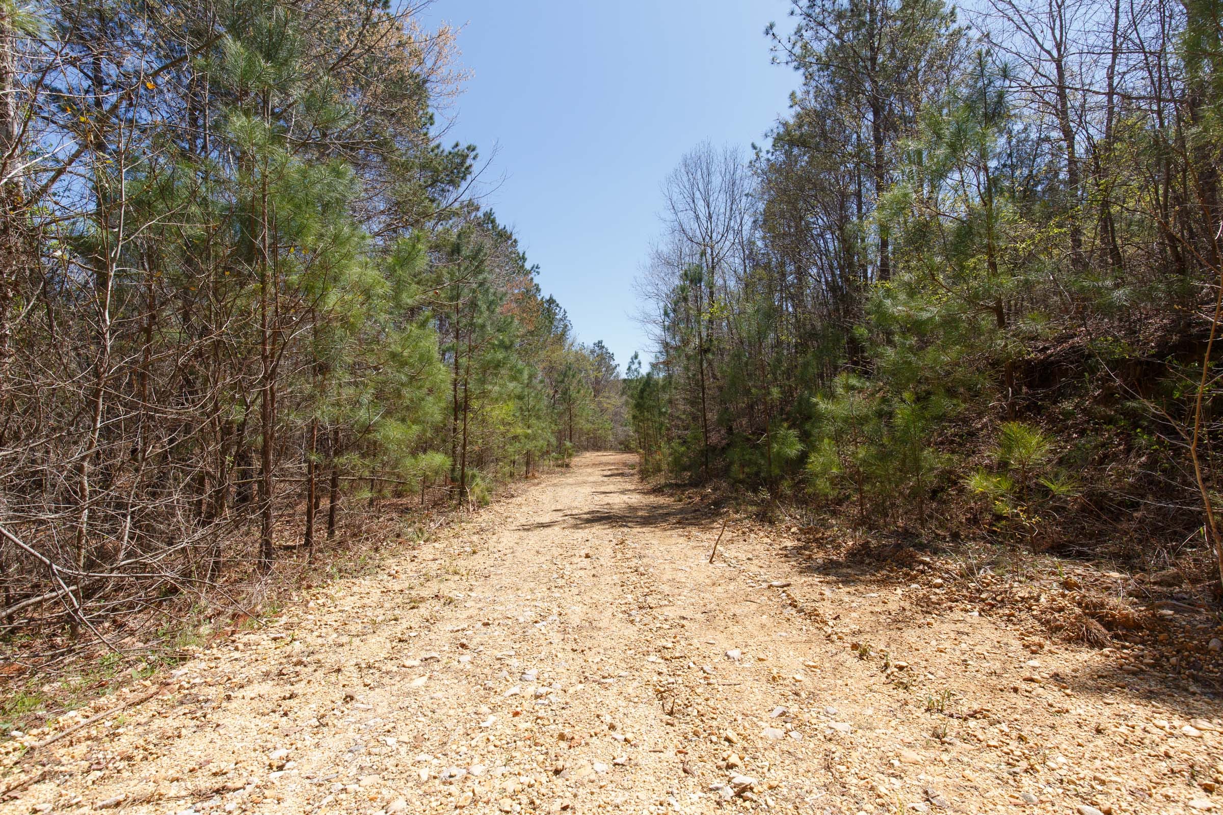 Southern Hills Tract 16 photo 2
