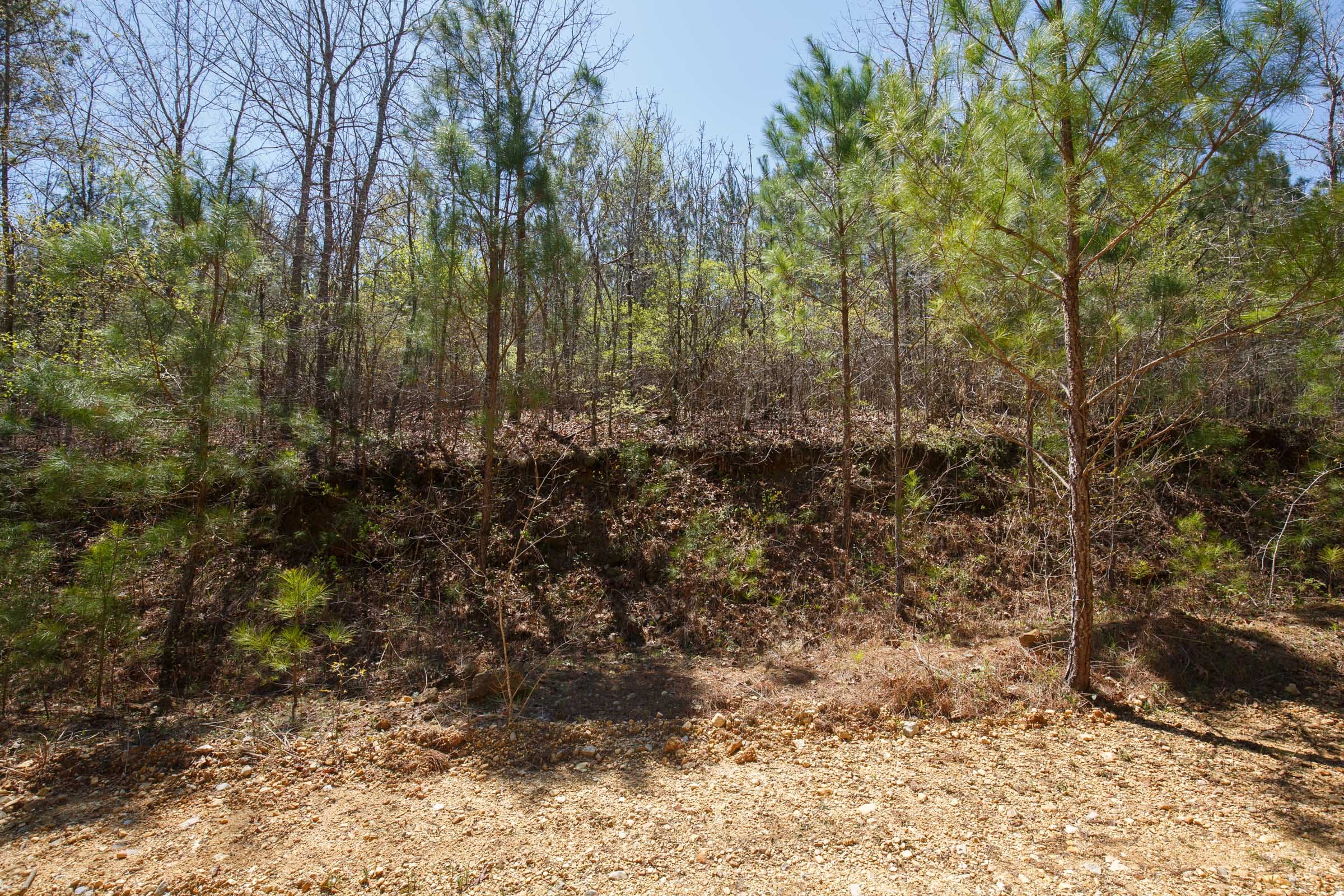 Southern Hills Tract 16 photo 8
