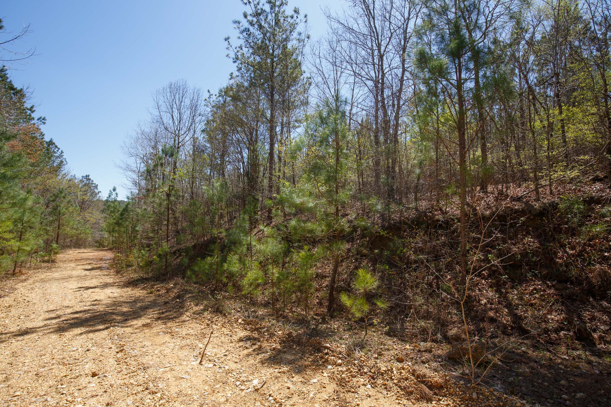 Southern Hills Tract 16 photo 6