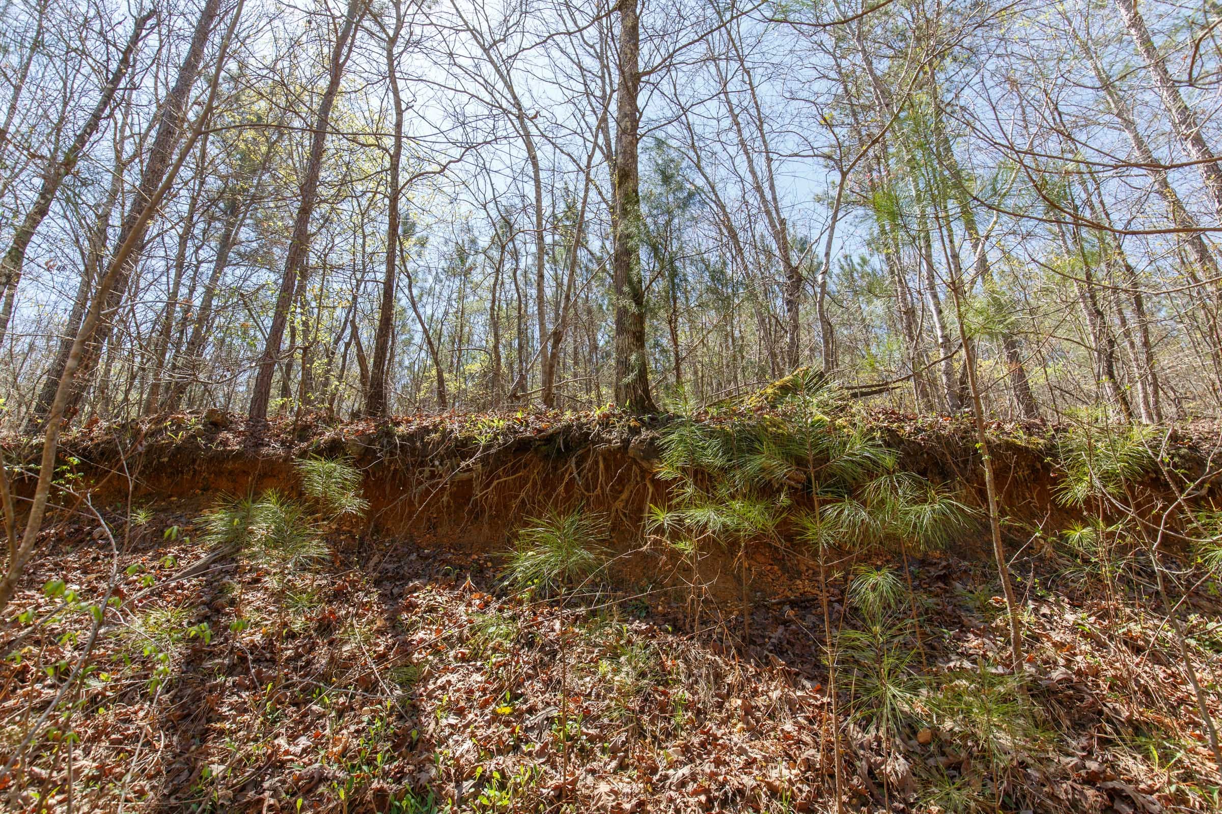 Southern Hills Tract 16 photo 3