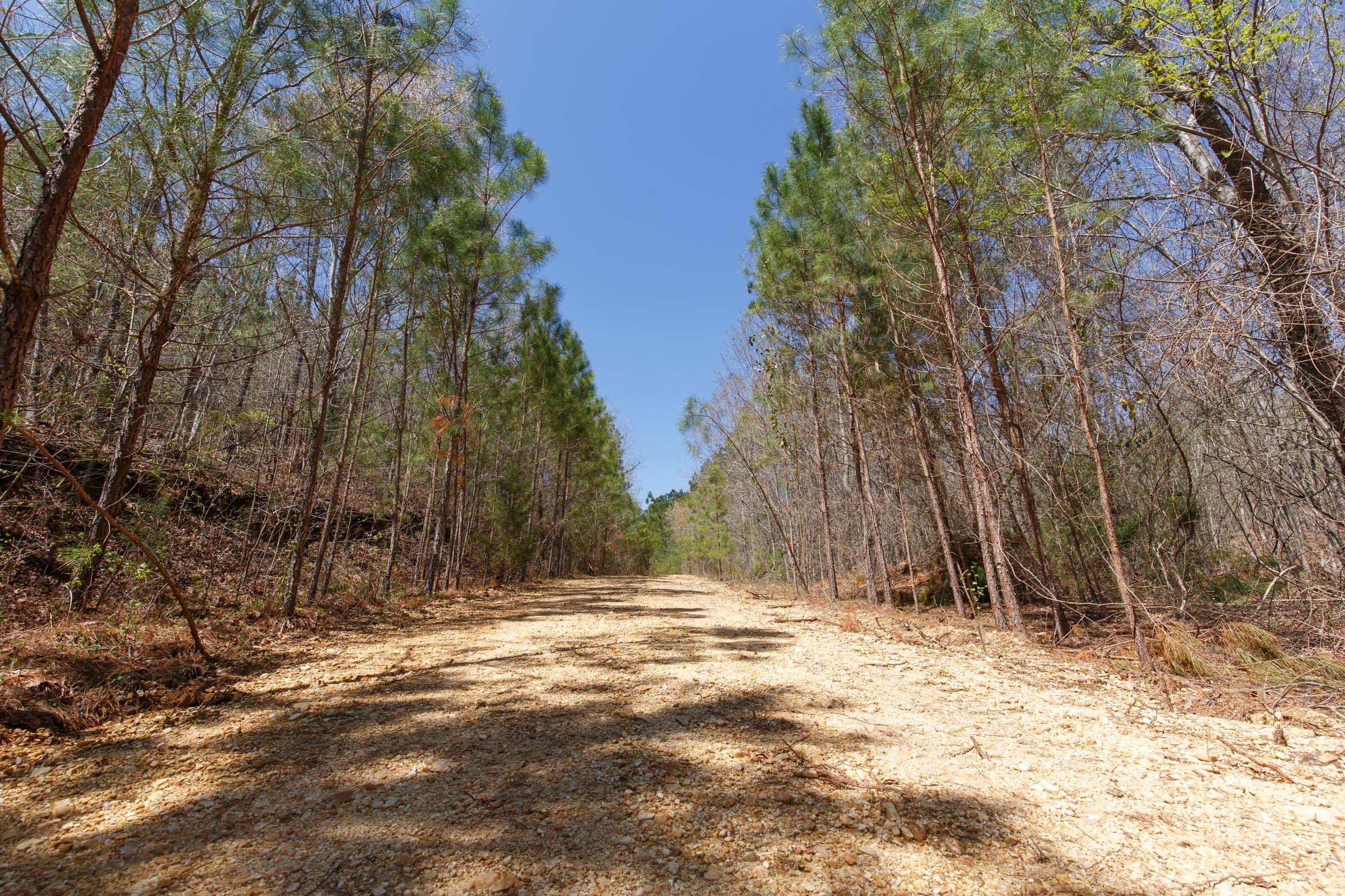 Southern Hills Tract 16 photo 4